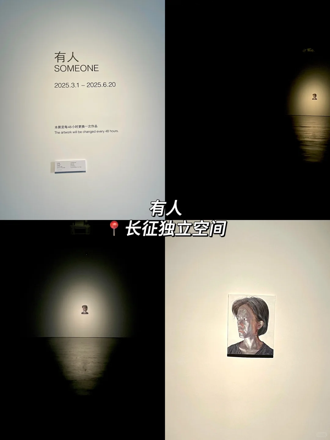 798艺术区?6?️免费展合集！真不要一分钱?