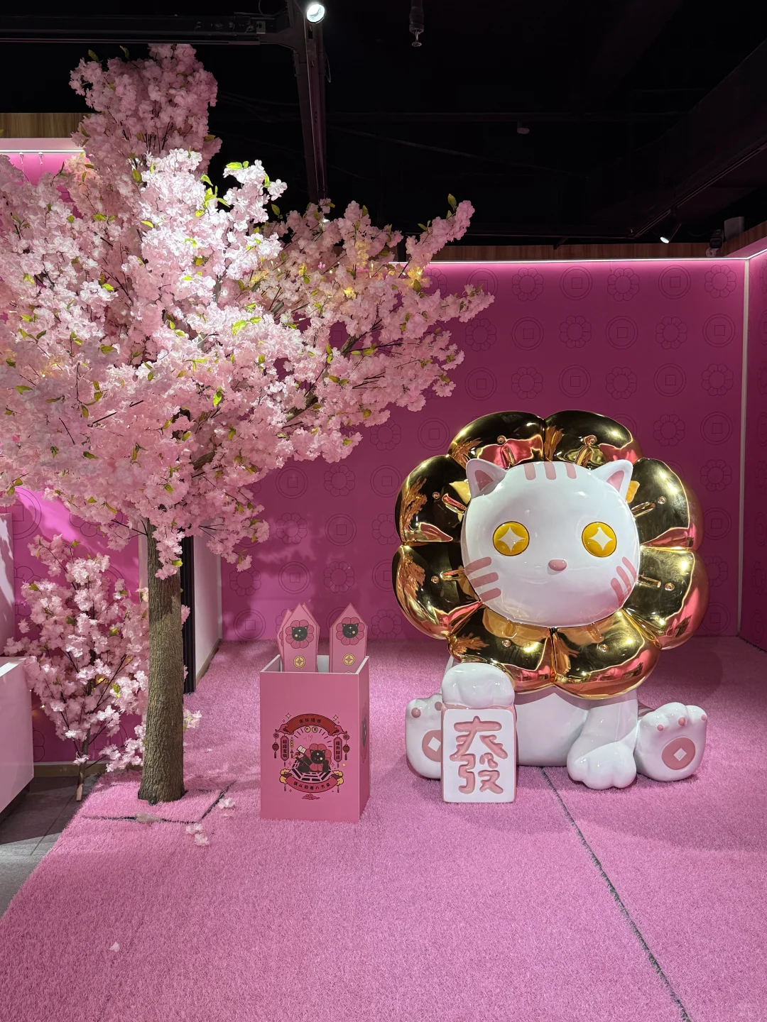 厦门新展！！！真的好好拍啊啊啊…