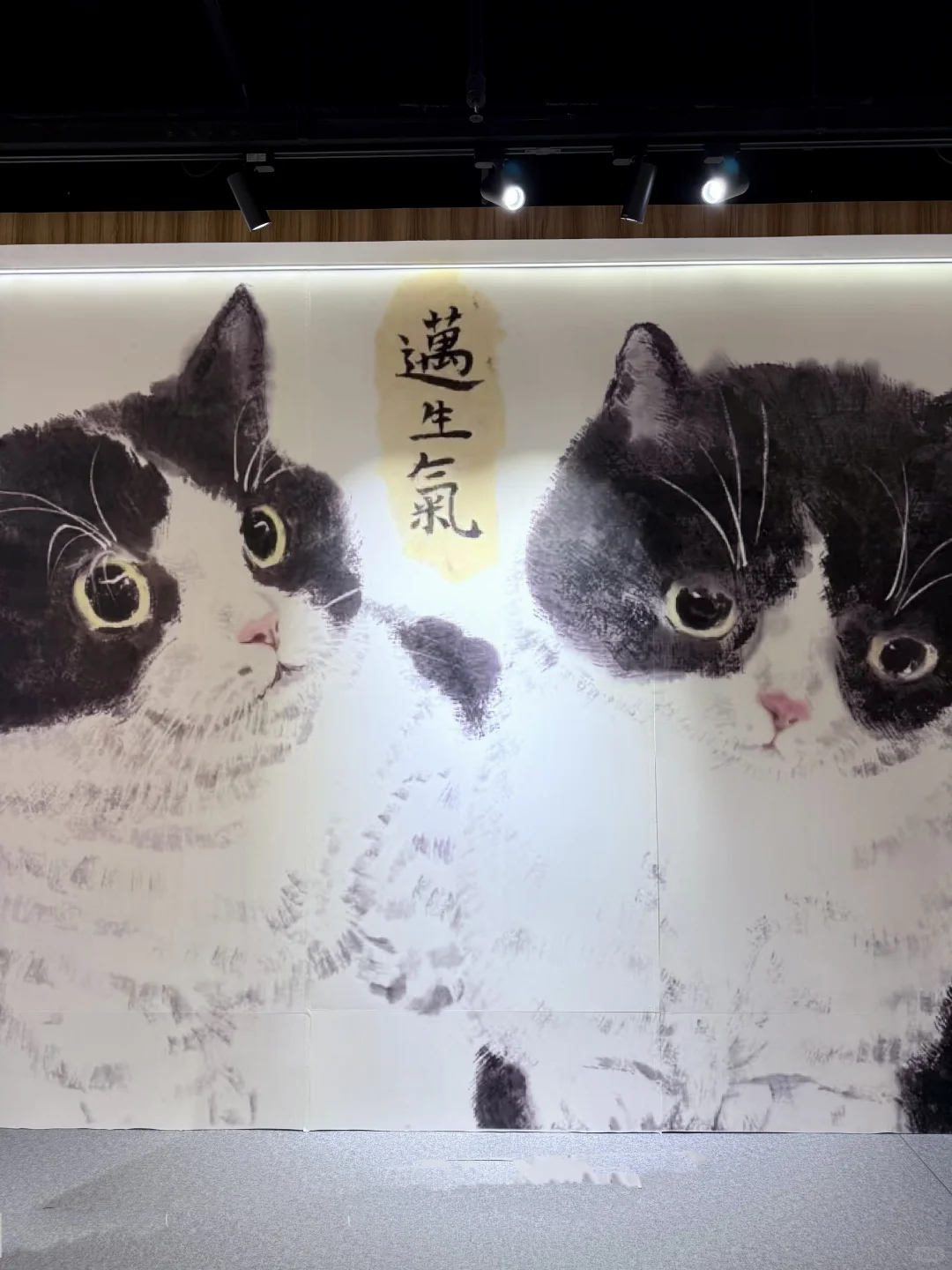 厦门新展！！速去！！超可爱的猫猫展 ！！！