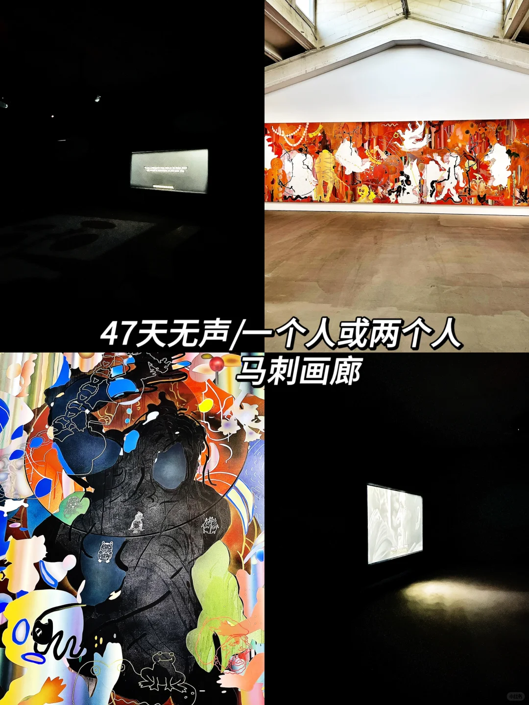 798艺术区?6?️免费展合集！真不要一分钱?