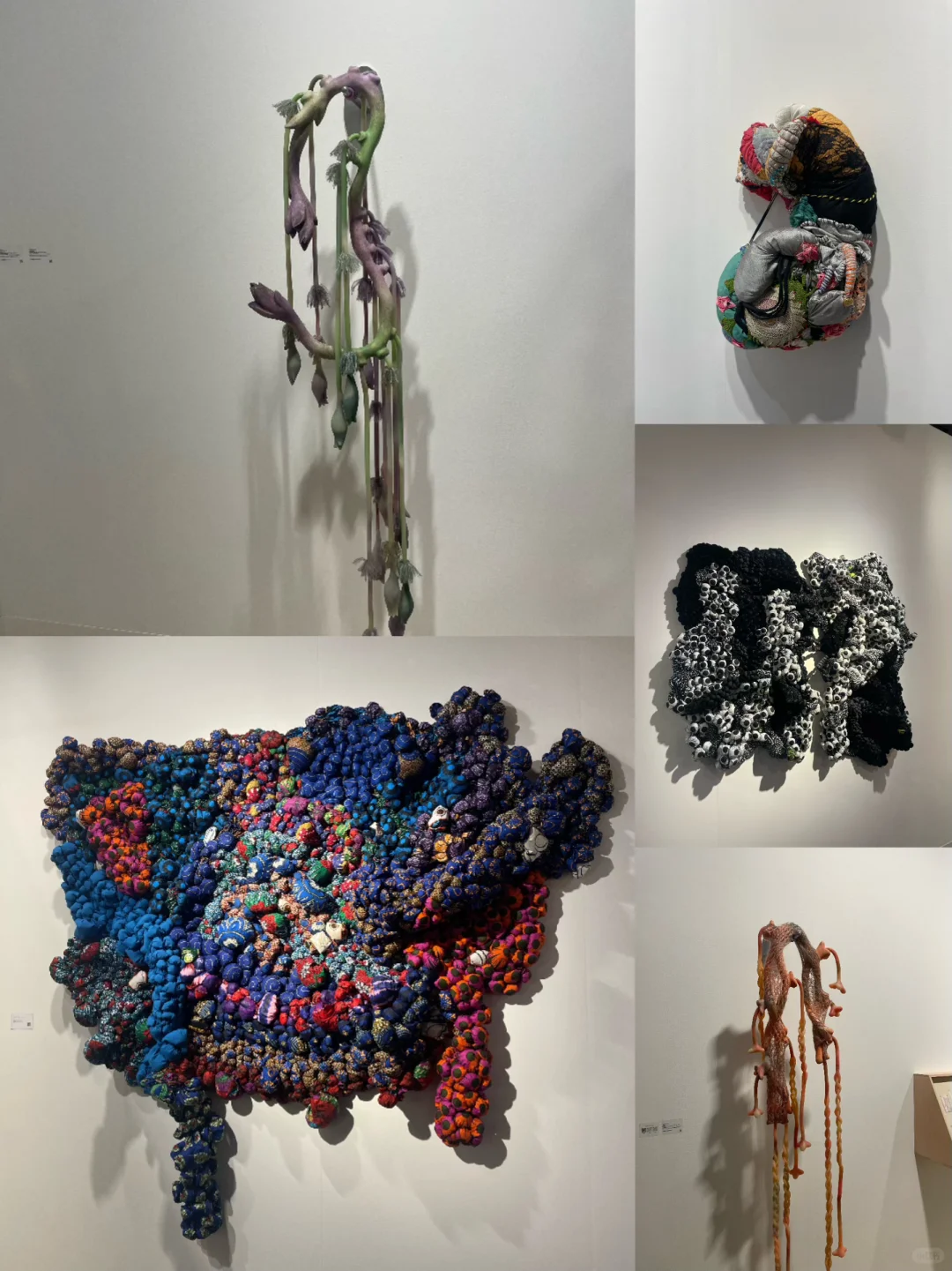 新手必知14｜Art Basel HK—亚洲艺术风暴?️