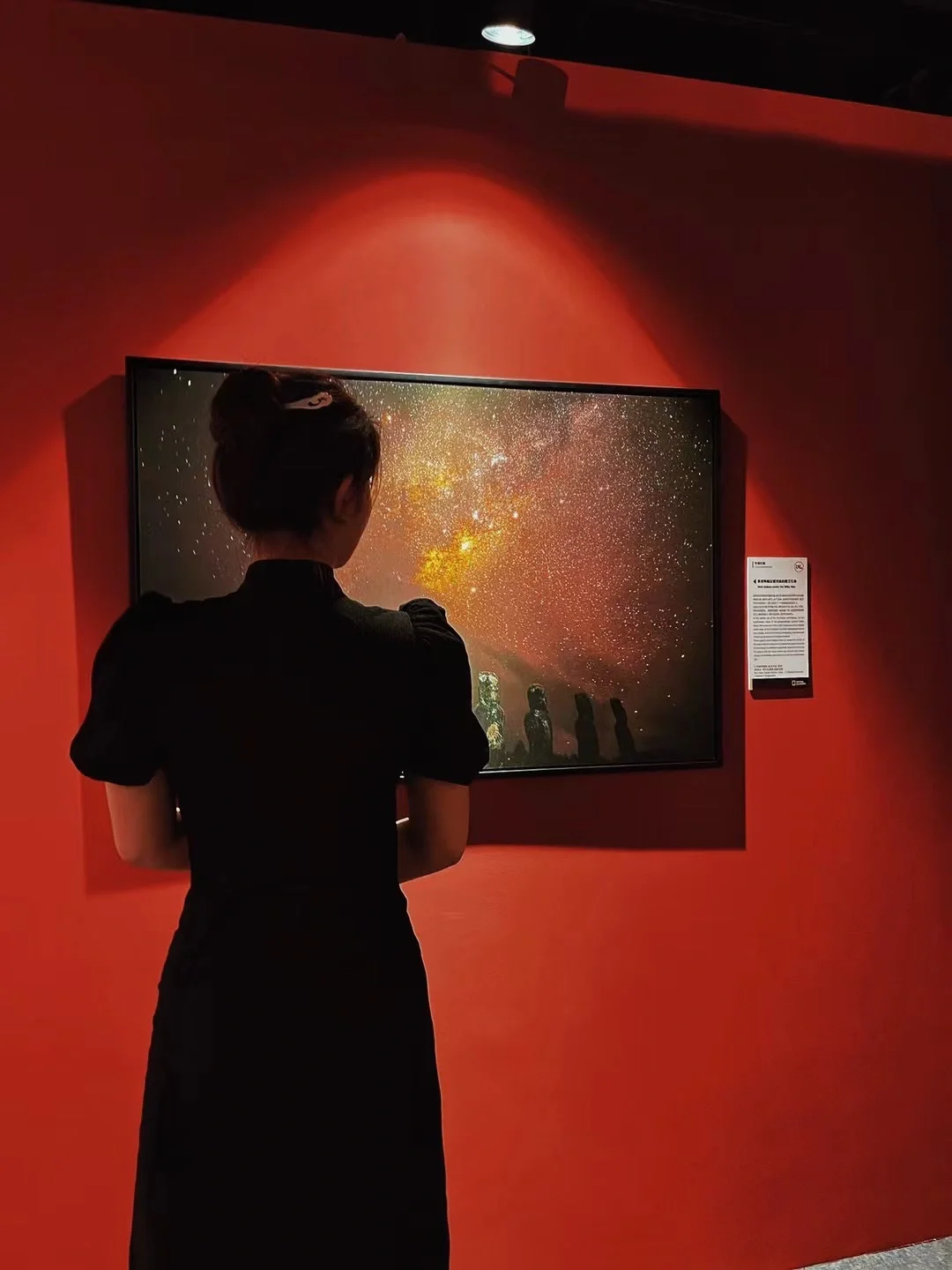 把世界?各地的美好收纳到展览里?