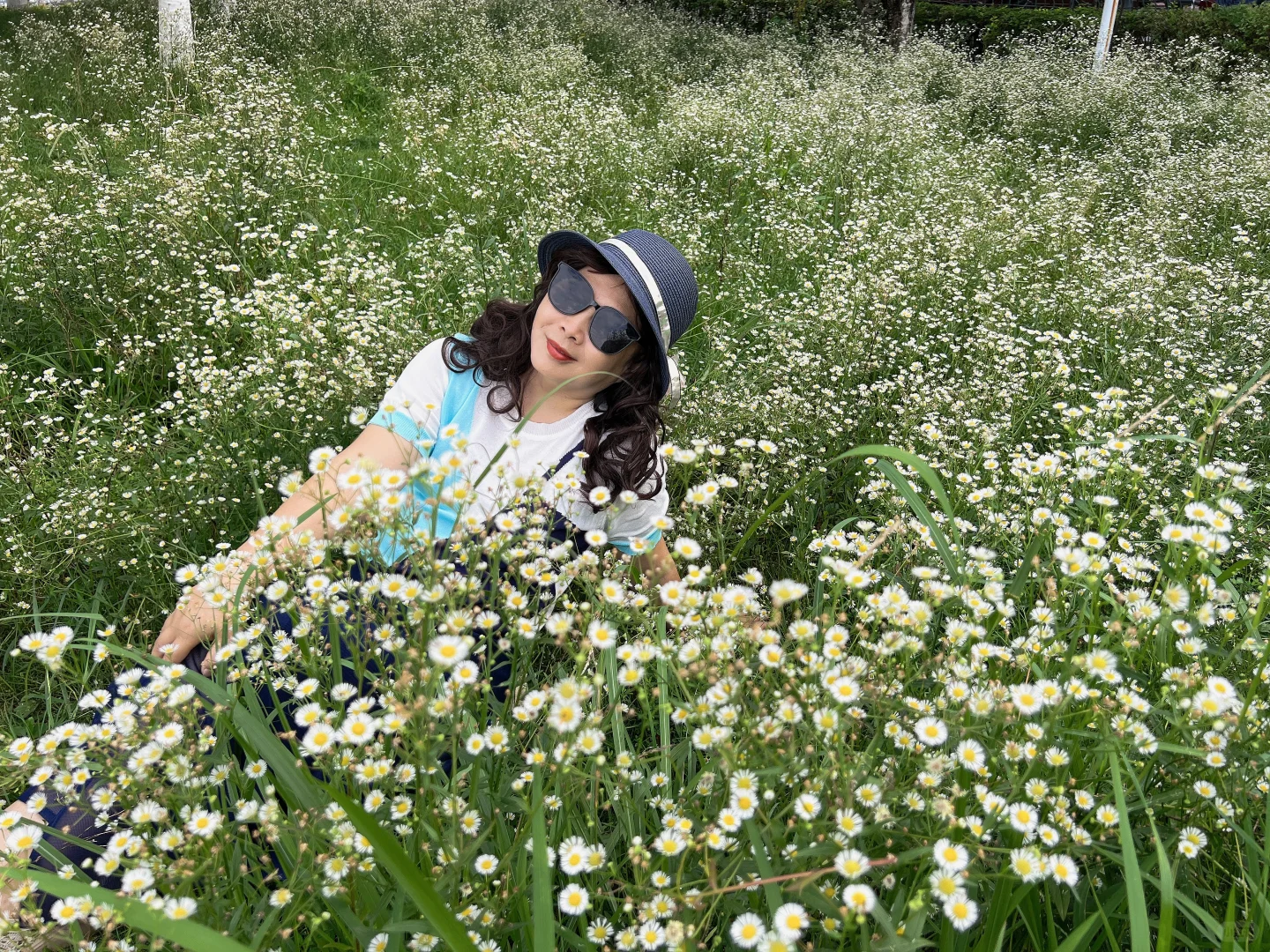 会展中心的小野花