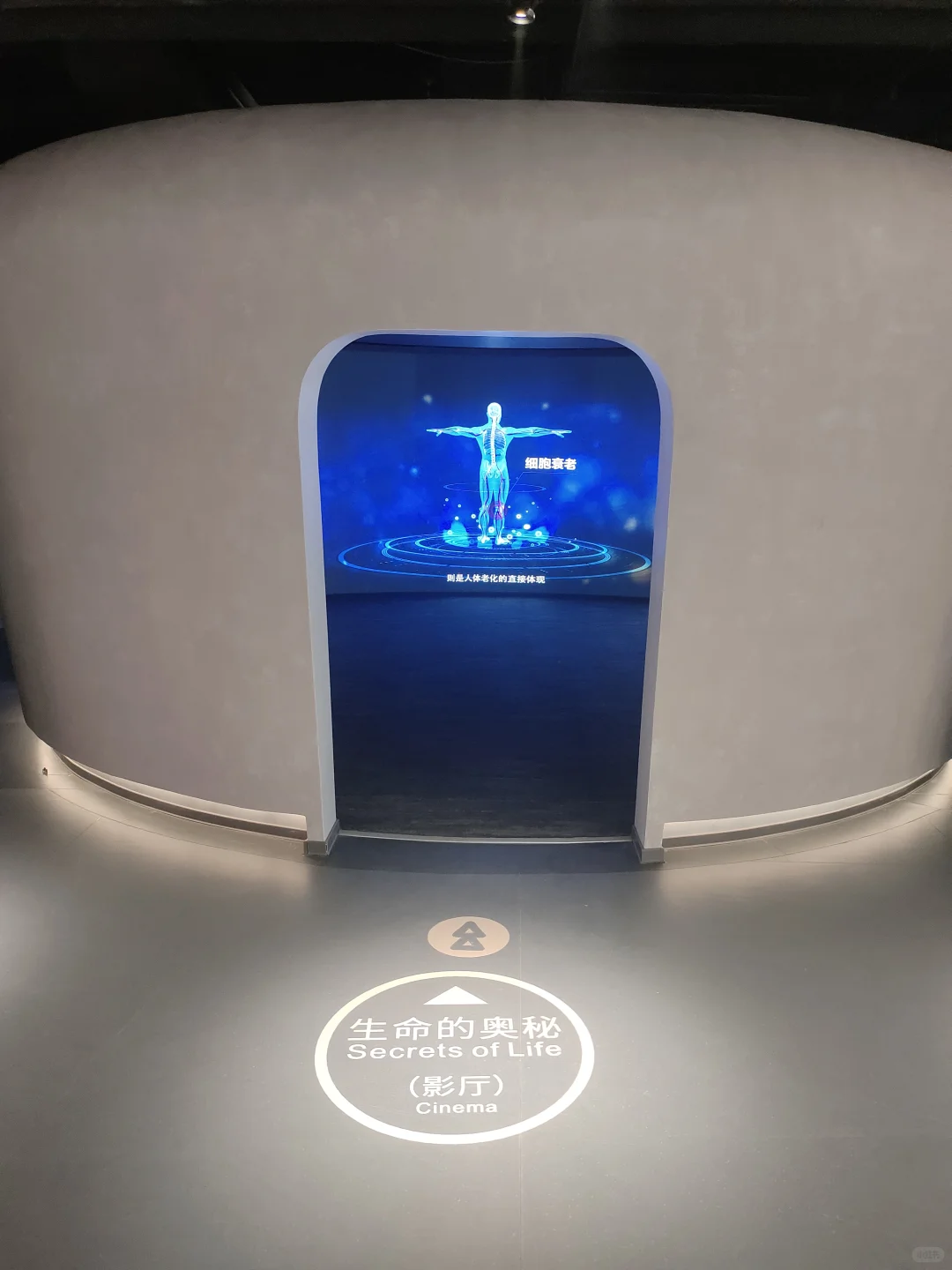 倒计时3天❗细胞生命科技馆入驻亚欧博览会