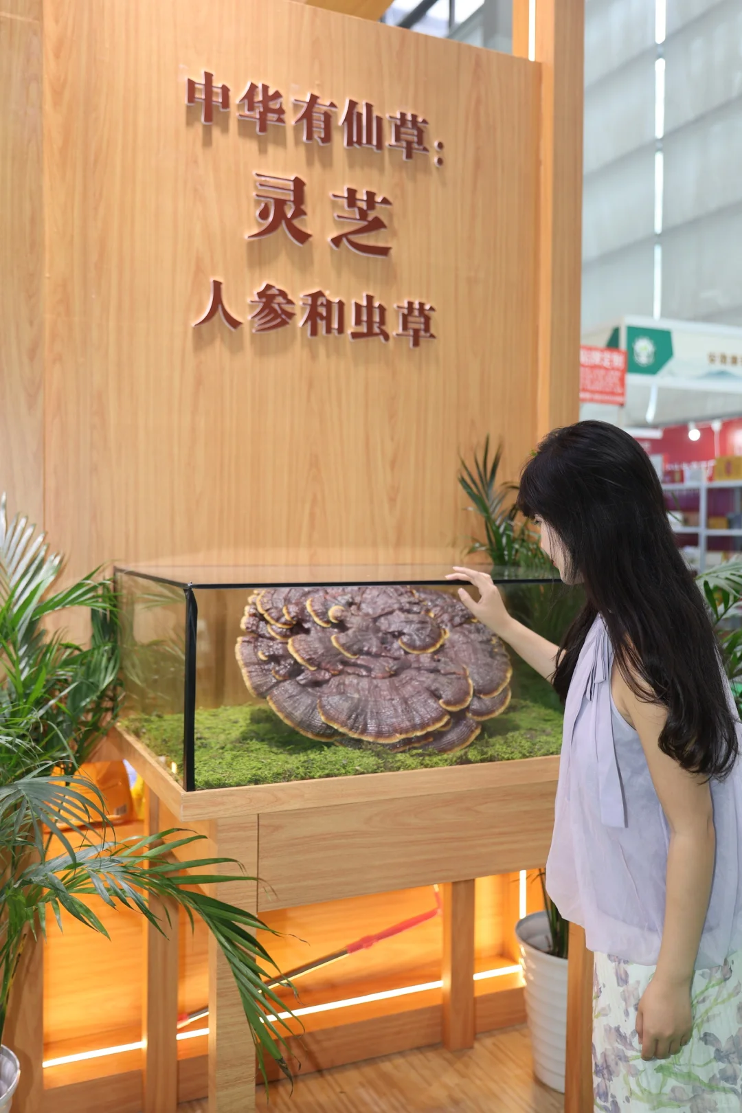 深圳中医药展撞大运！养生人又挖到宝了