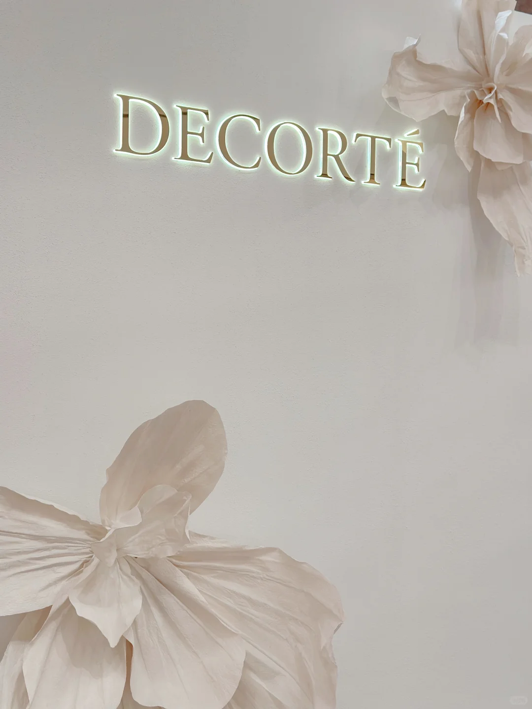 ??黛珂展会必打卡攻略！