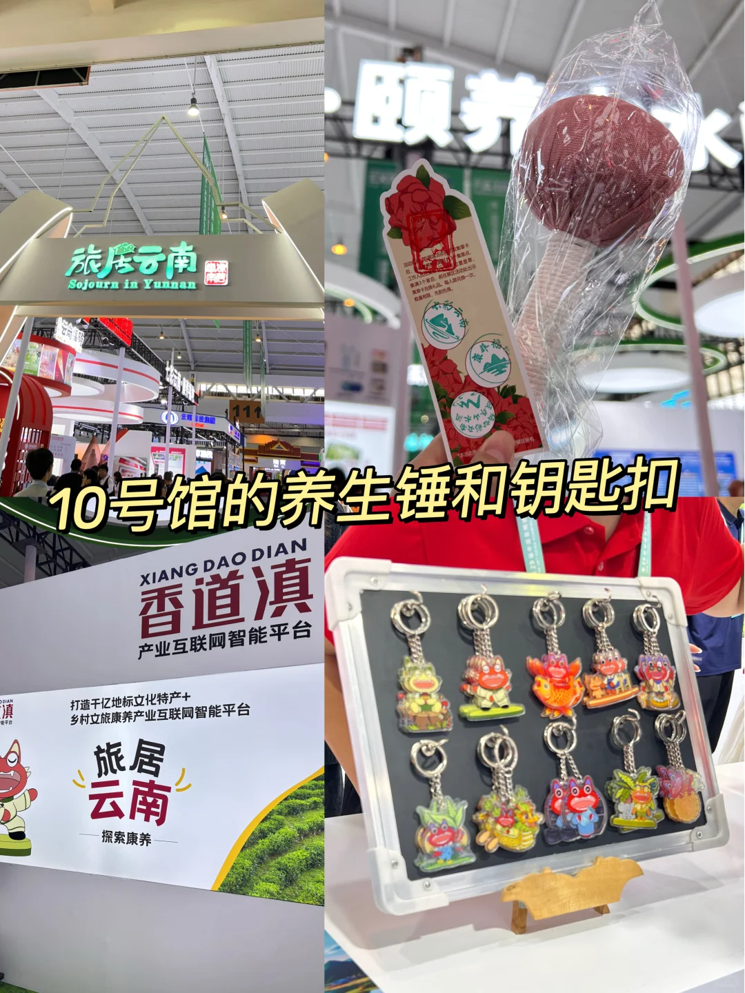 昆明南博会‼️不走弯路逛吃买