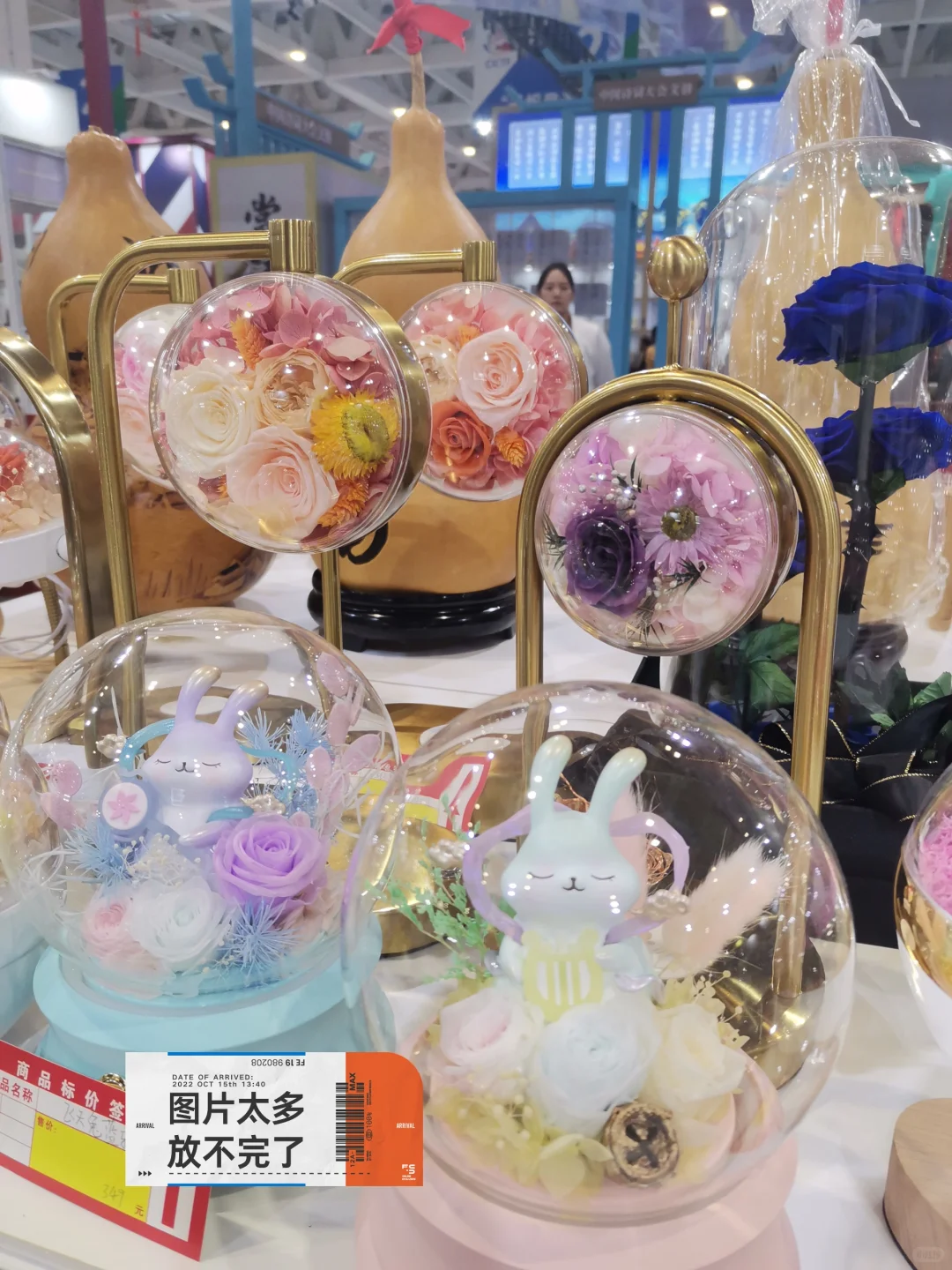 第四届国际文化博览会真的太太太太赞了