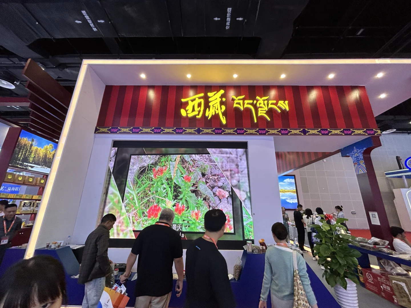 东盟博览会你们觉得好逛吗？