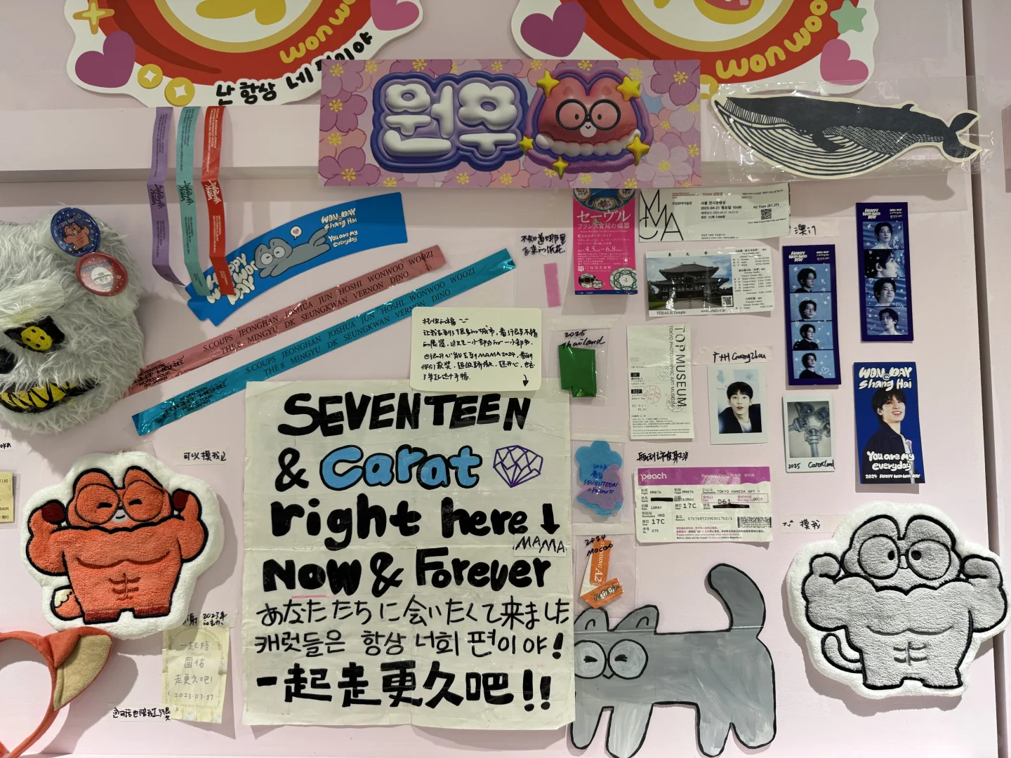 是谁率先看上了小狐狸?