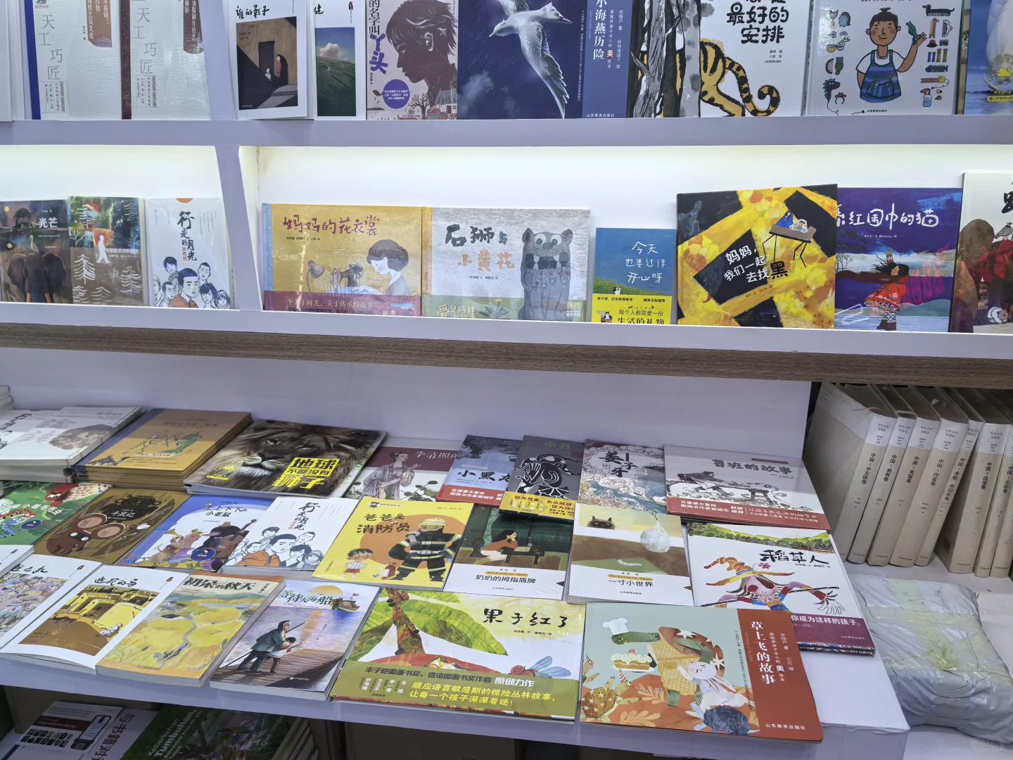 BIBF书展—只能看不能买