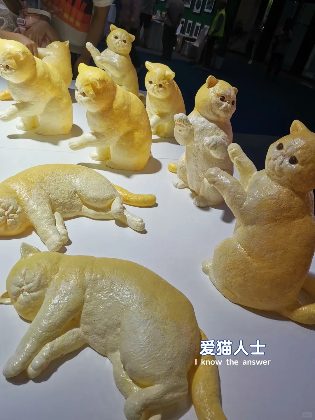 第四届国际文化博览会真的太太太太赞了