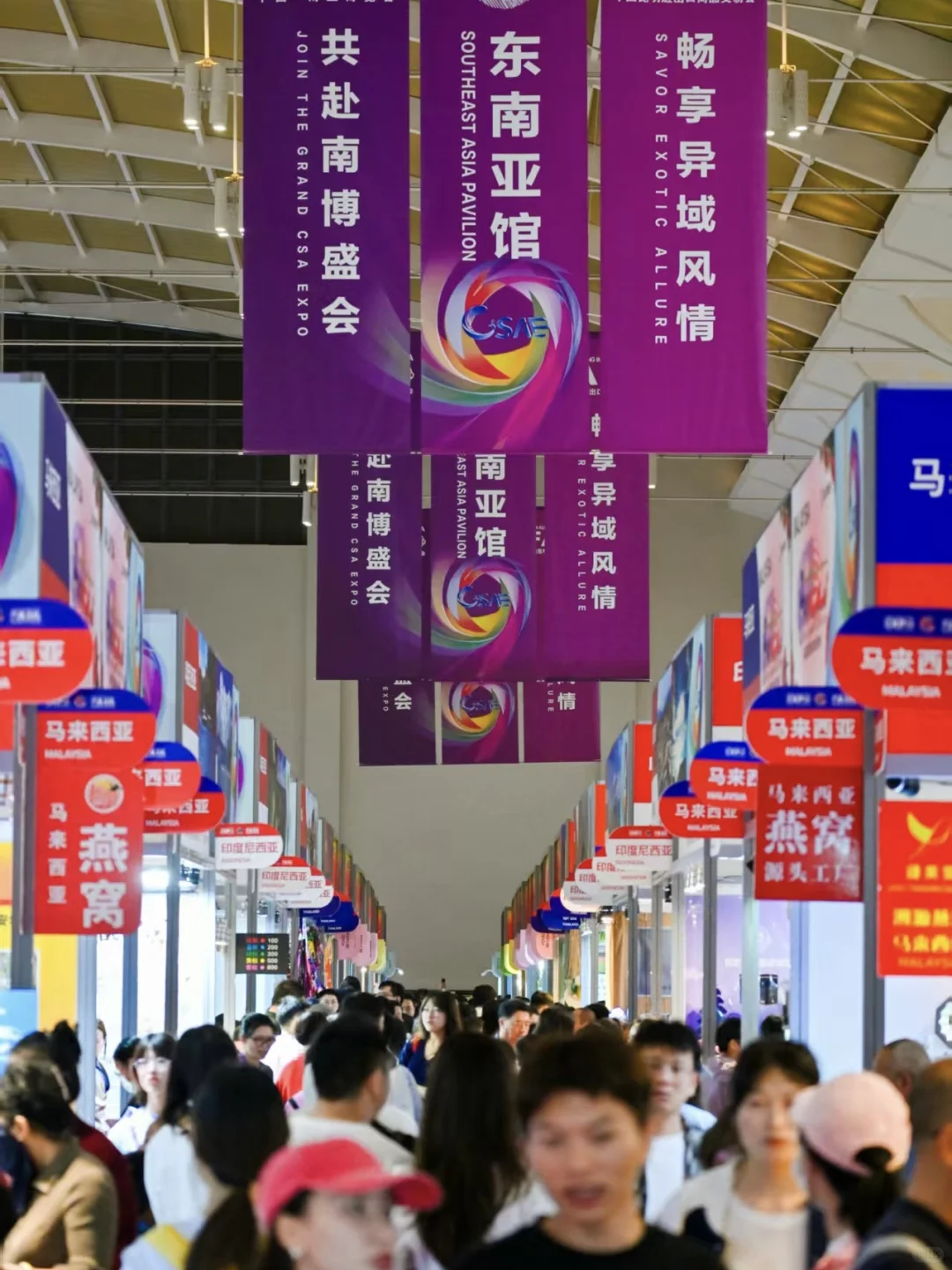 新闻主播的工作小结·第9届中国-南亚博览会