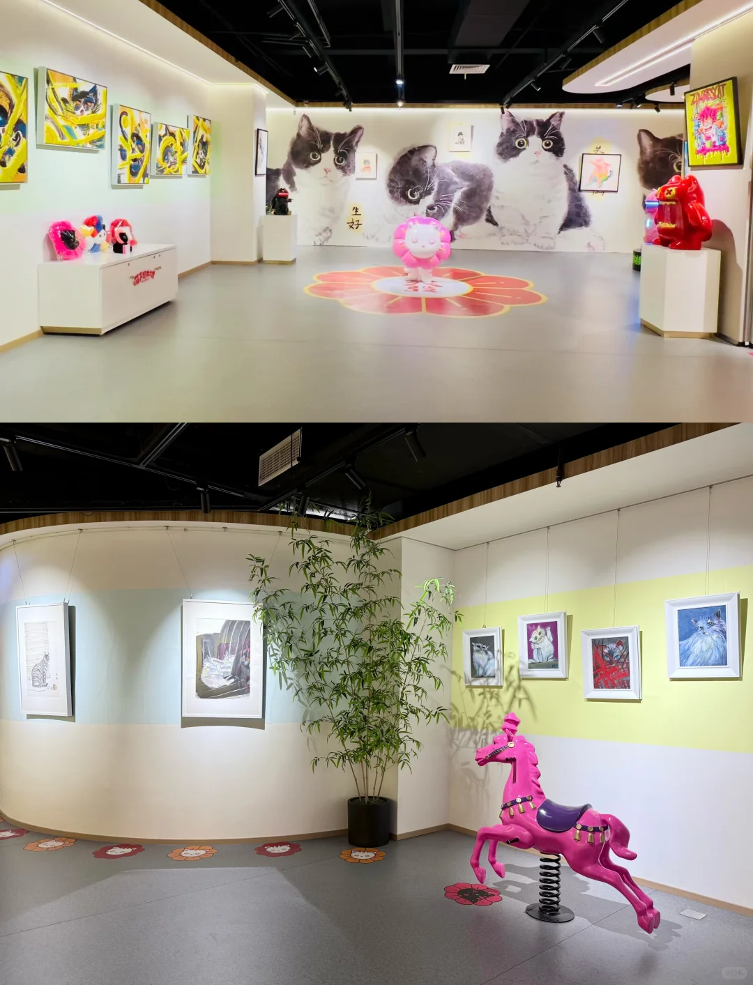 厦门新展！！速去！！超可爱的猫猫展 ！！！