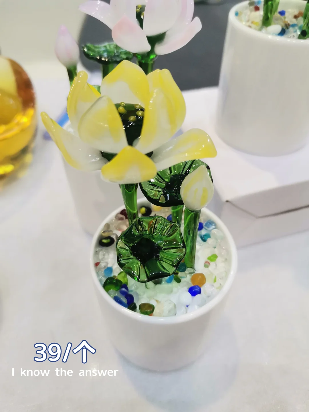 第四届国际文化博览会真的太太太太赞了