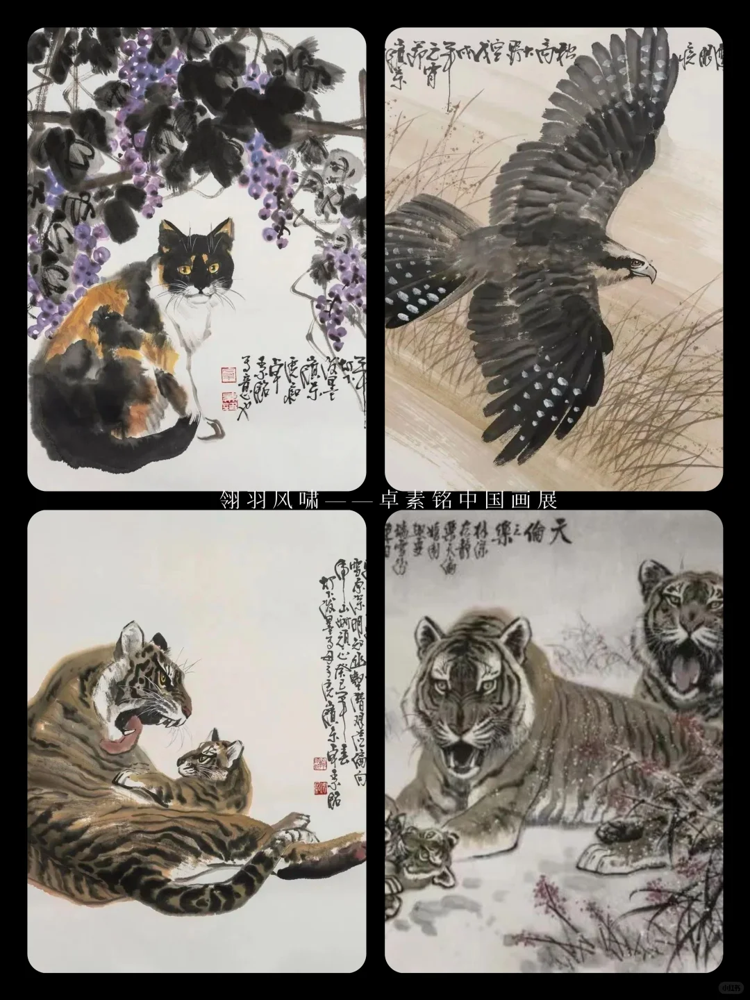 南 宁 | 6 月 看 展 指 南