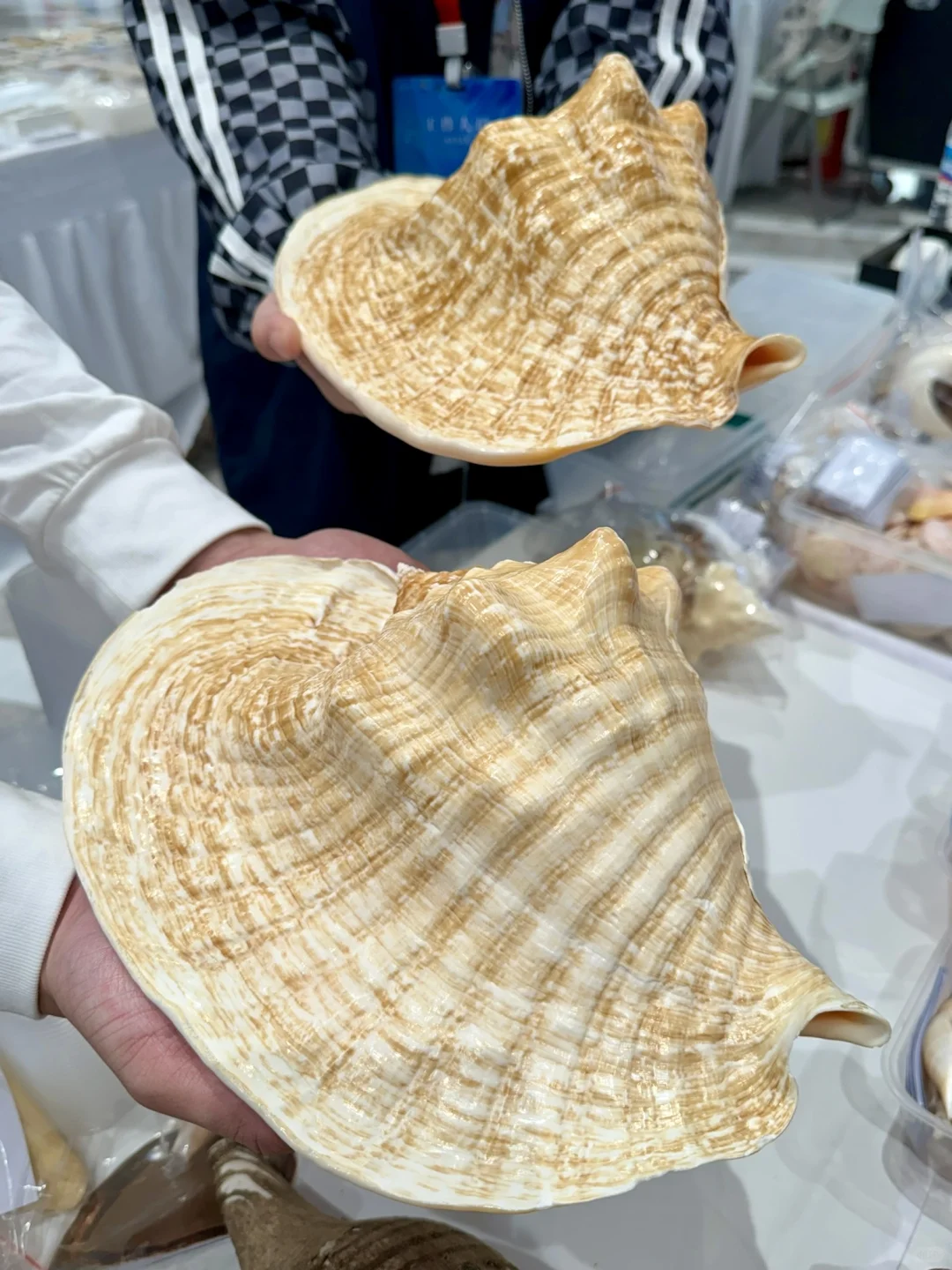 济南人来见世面了。。。。。。好好逛啊！！！！