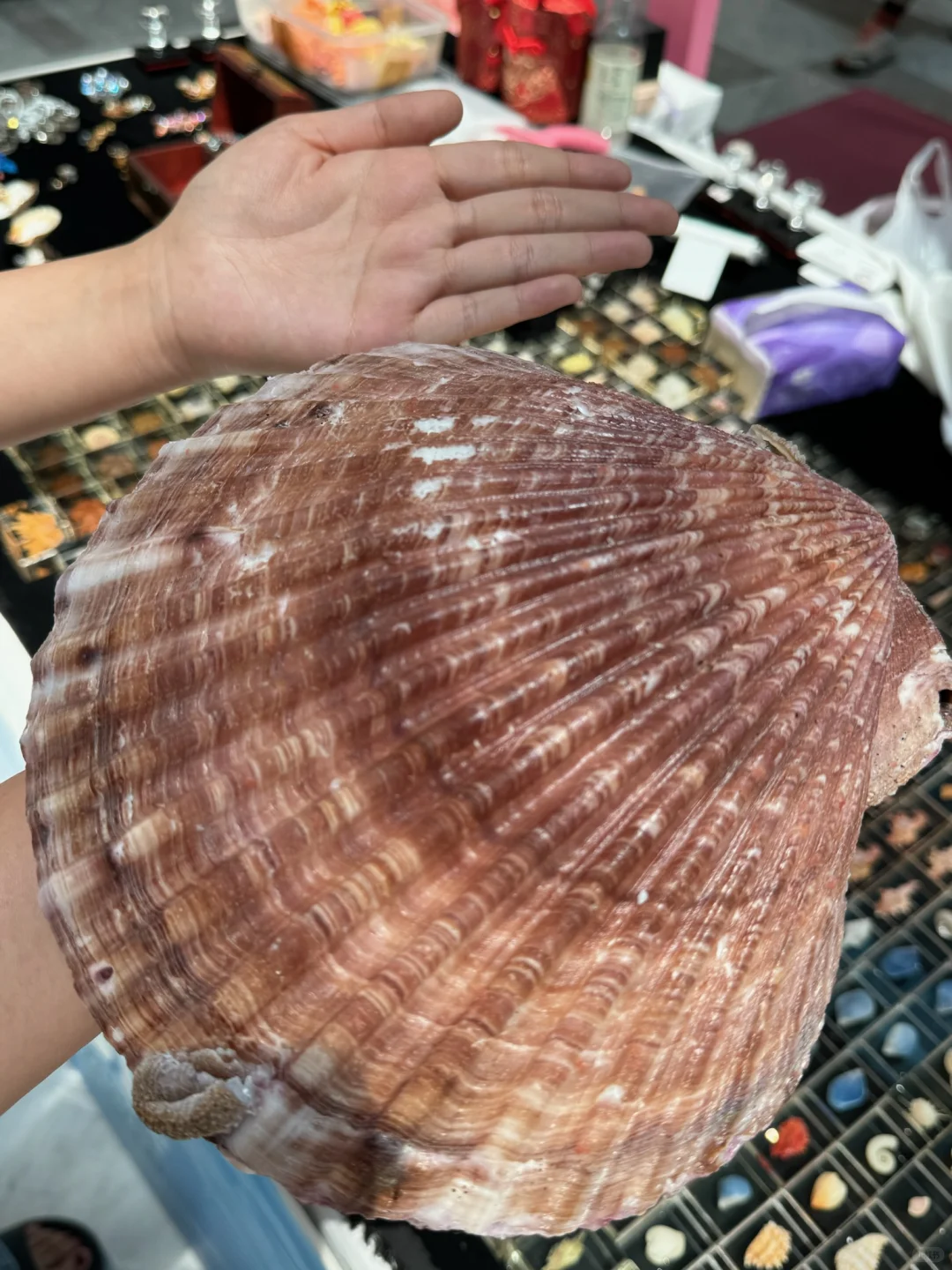 济南人来见世面了。。。。。。好好逛啊！！！！