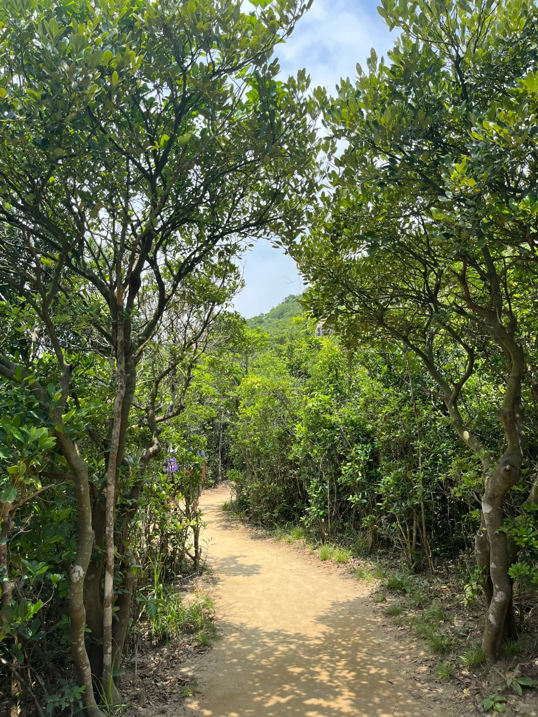 在香港穿吊带徒步，get了穿衣自由的爽感