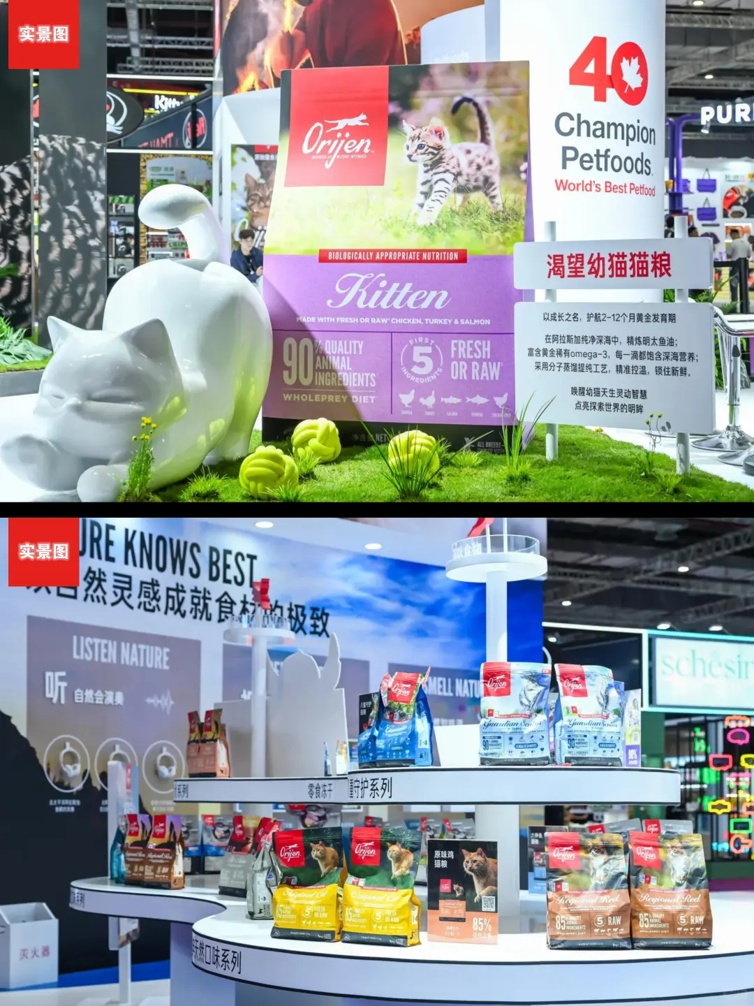 它博会宠物展台设计~原野猎食渴望