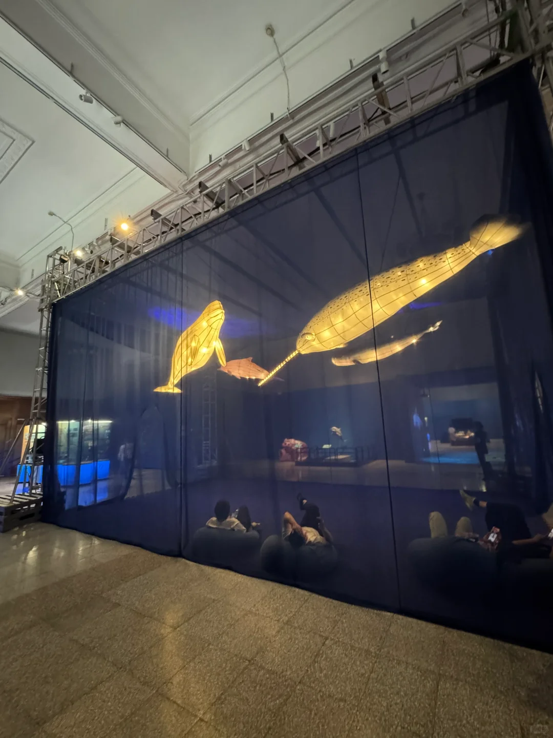 石家庄！新展！海底世界！趁没人赶紧来