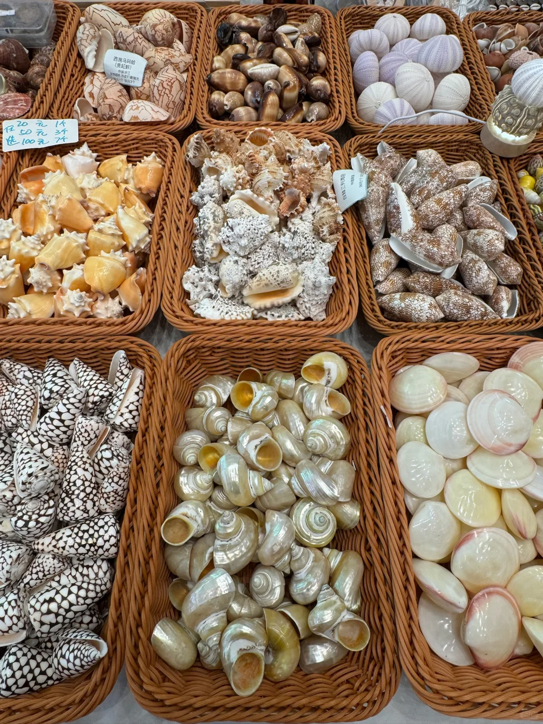 济南人来见世面了。。。。。。好好逛啊！！！！