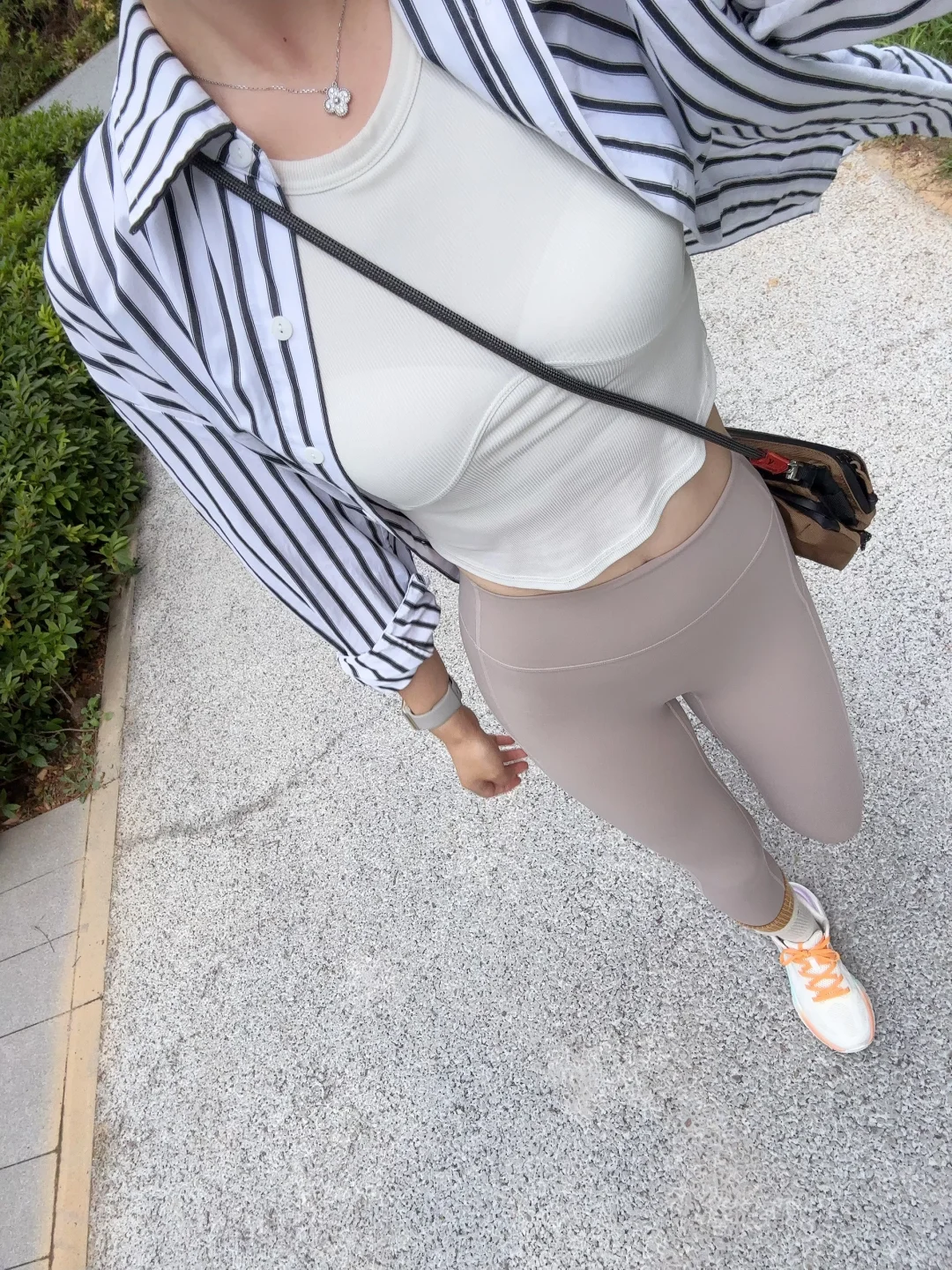 自由路上没有任何捷径