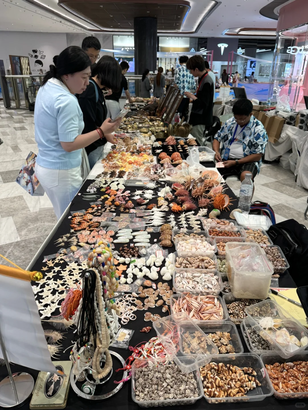 济南人来见世面了。。。。。。好好逛啊！！！！