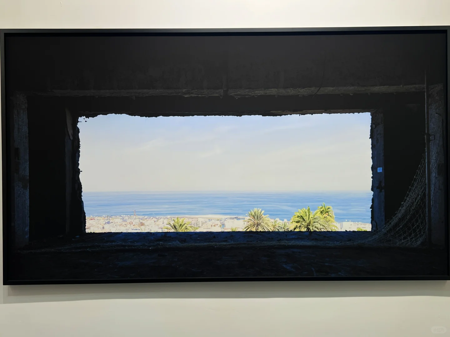 2025.5.22当代艺术博览会