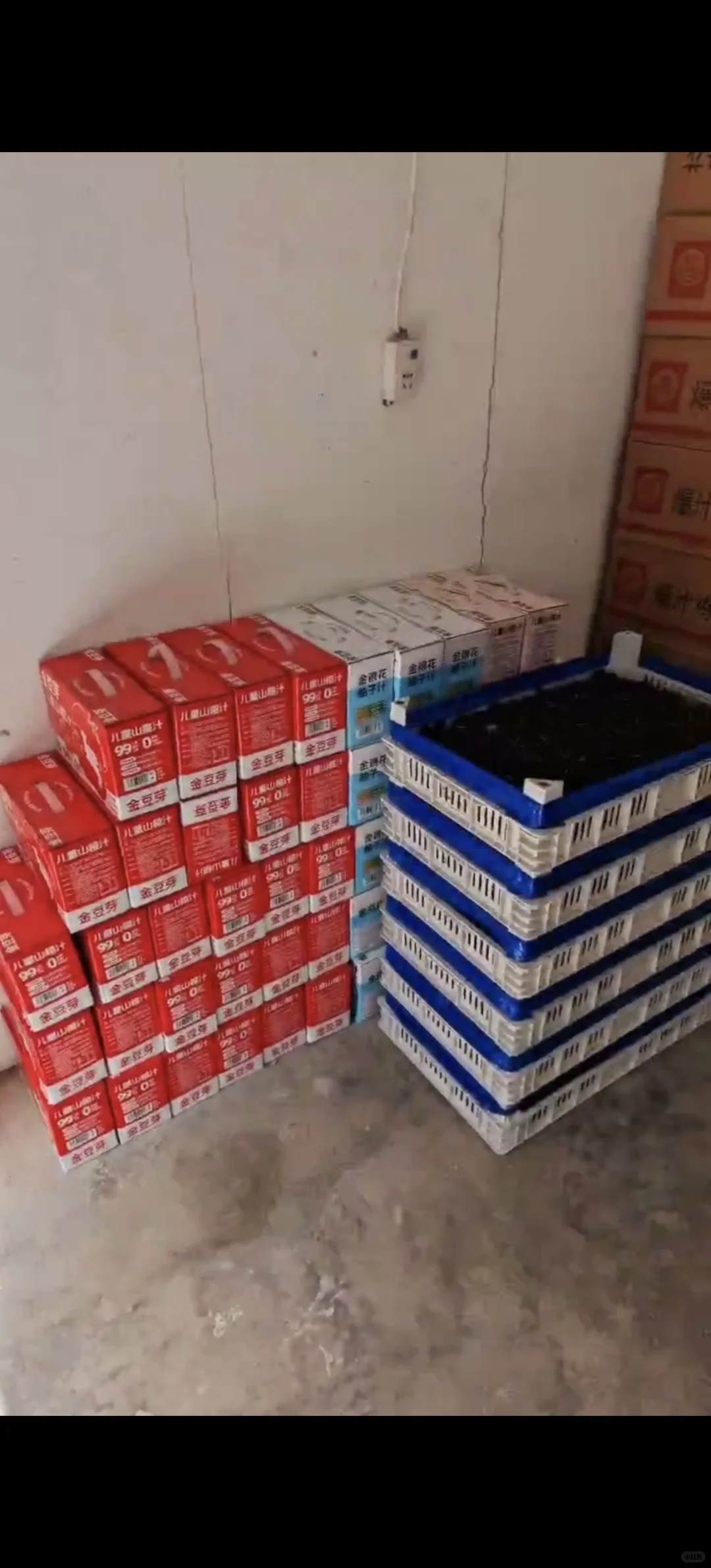 社区团购+便利店，普通人如何一天挣600花