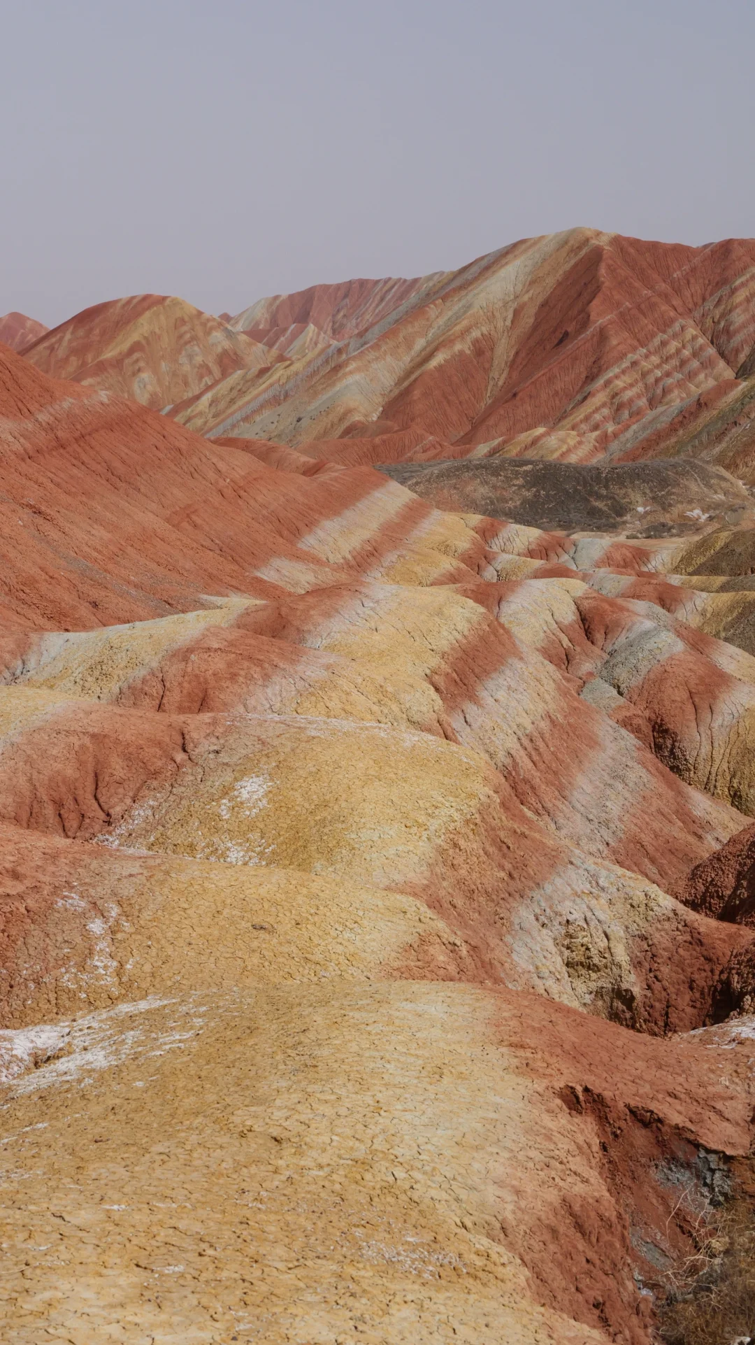 我仿佛到了火星