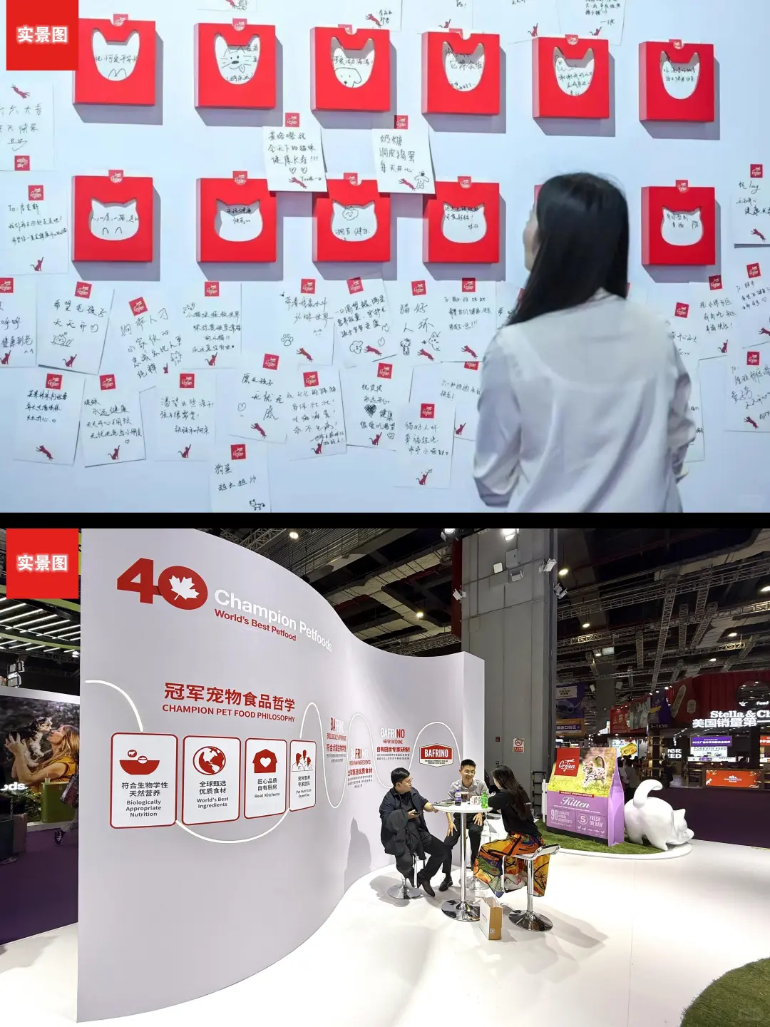 它博会宠物展台设计~原野猎食渴望