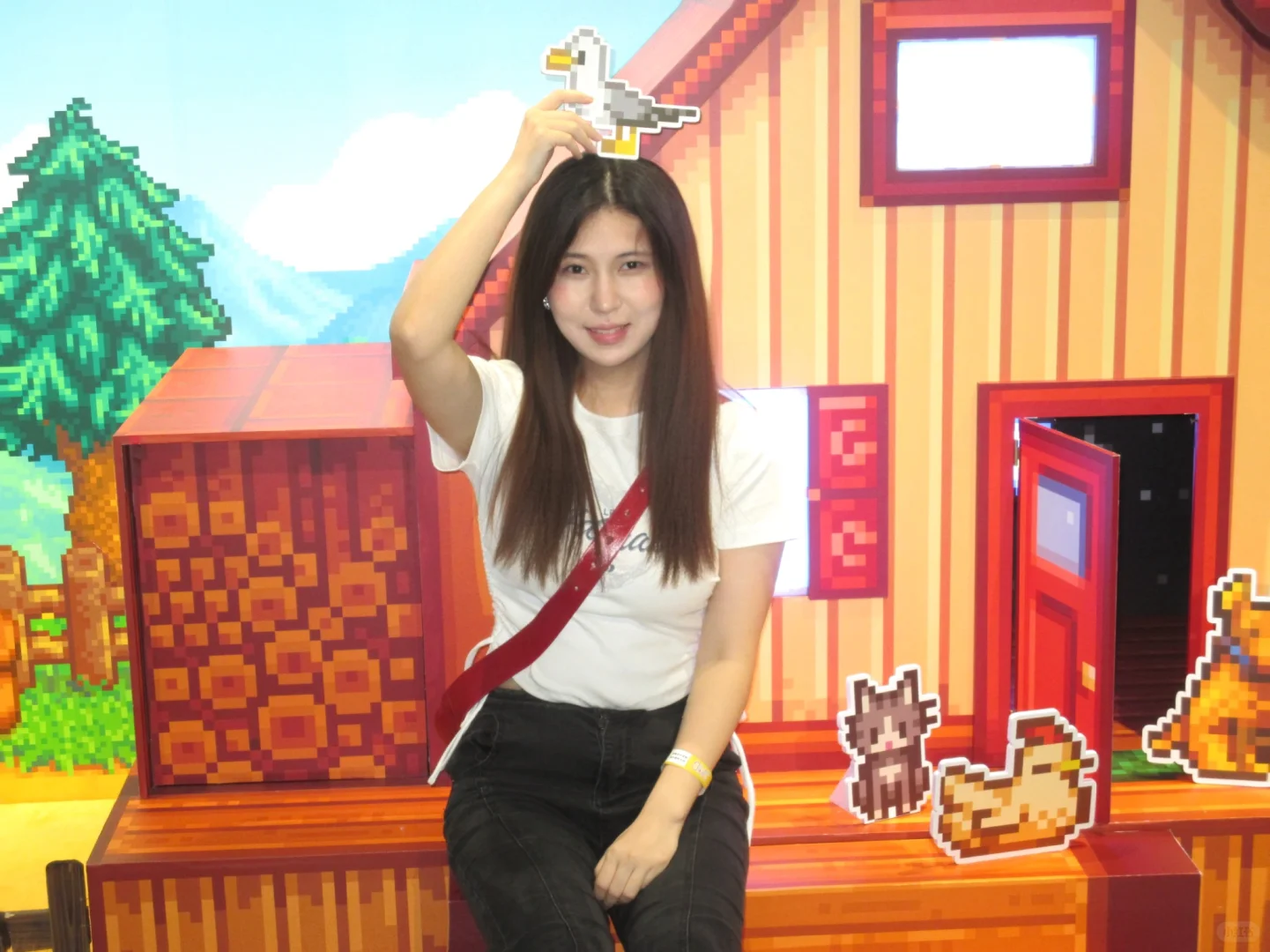 老乡！是上海星露谷展览会！