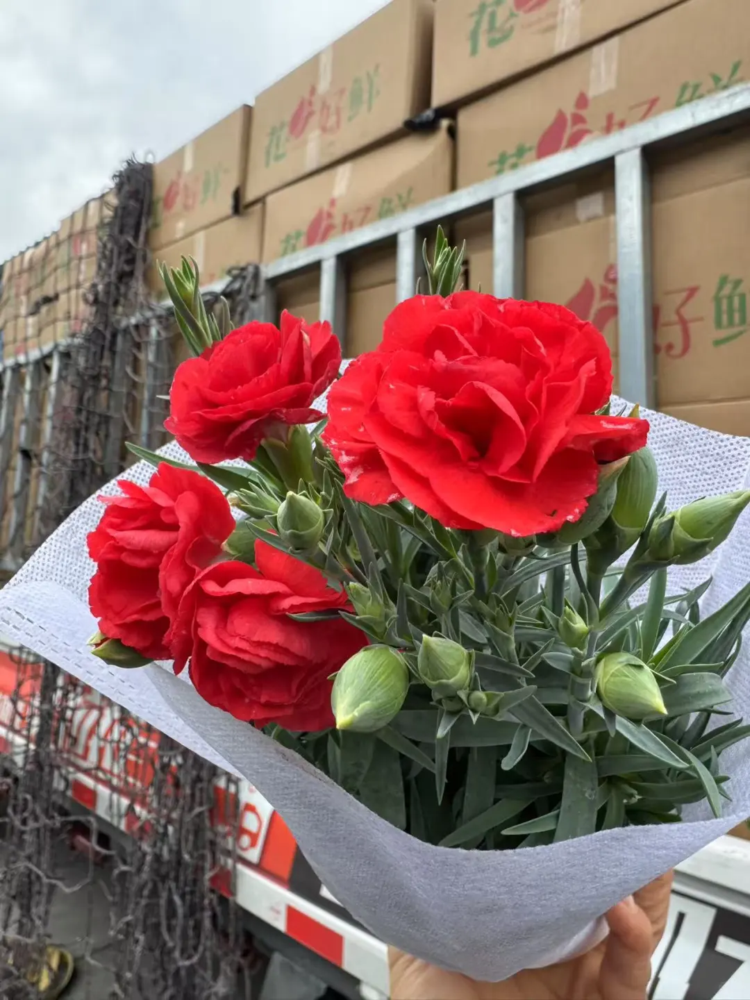 社区团购+便利店，普通人如何一天挣600花