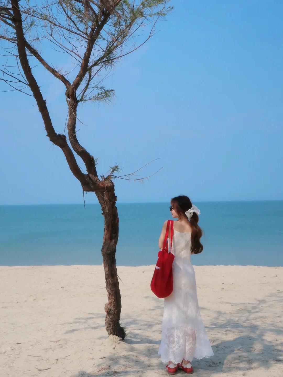 ??ᵕ̈ 南澳环岛记????◌??