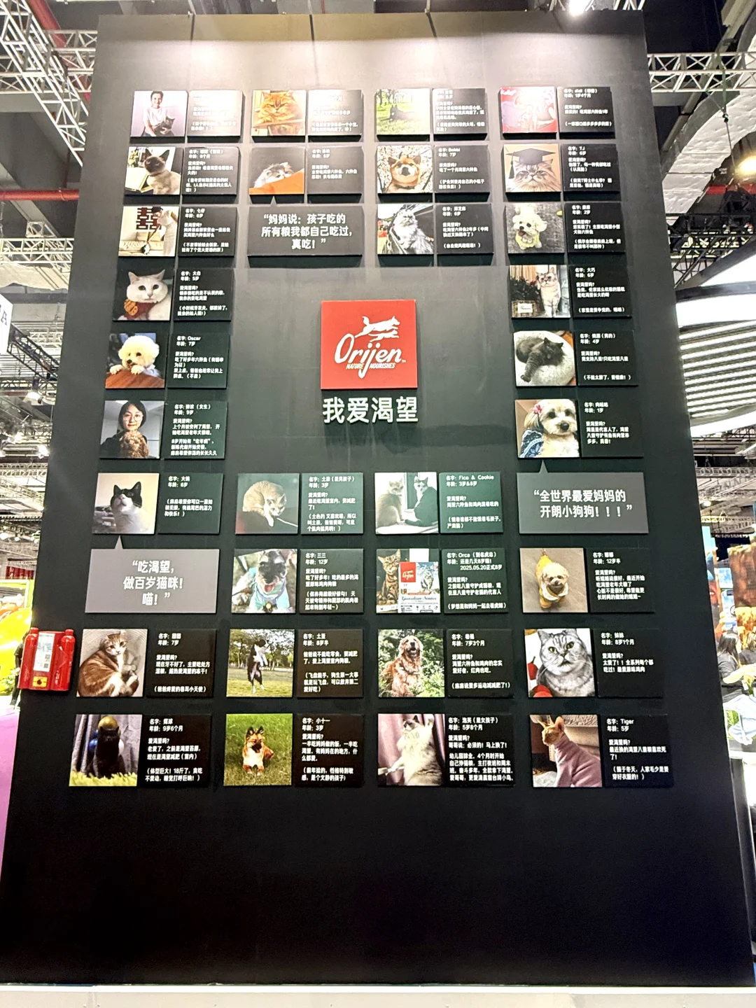 它博会宠物展台设计~原野猎食渴望