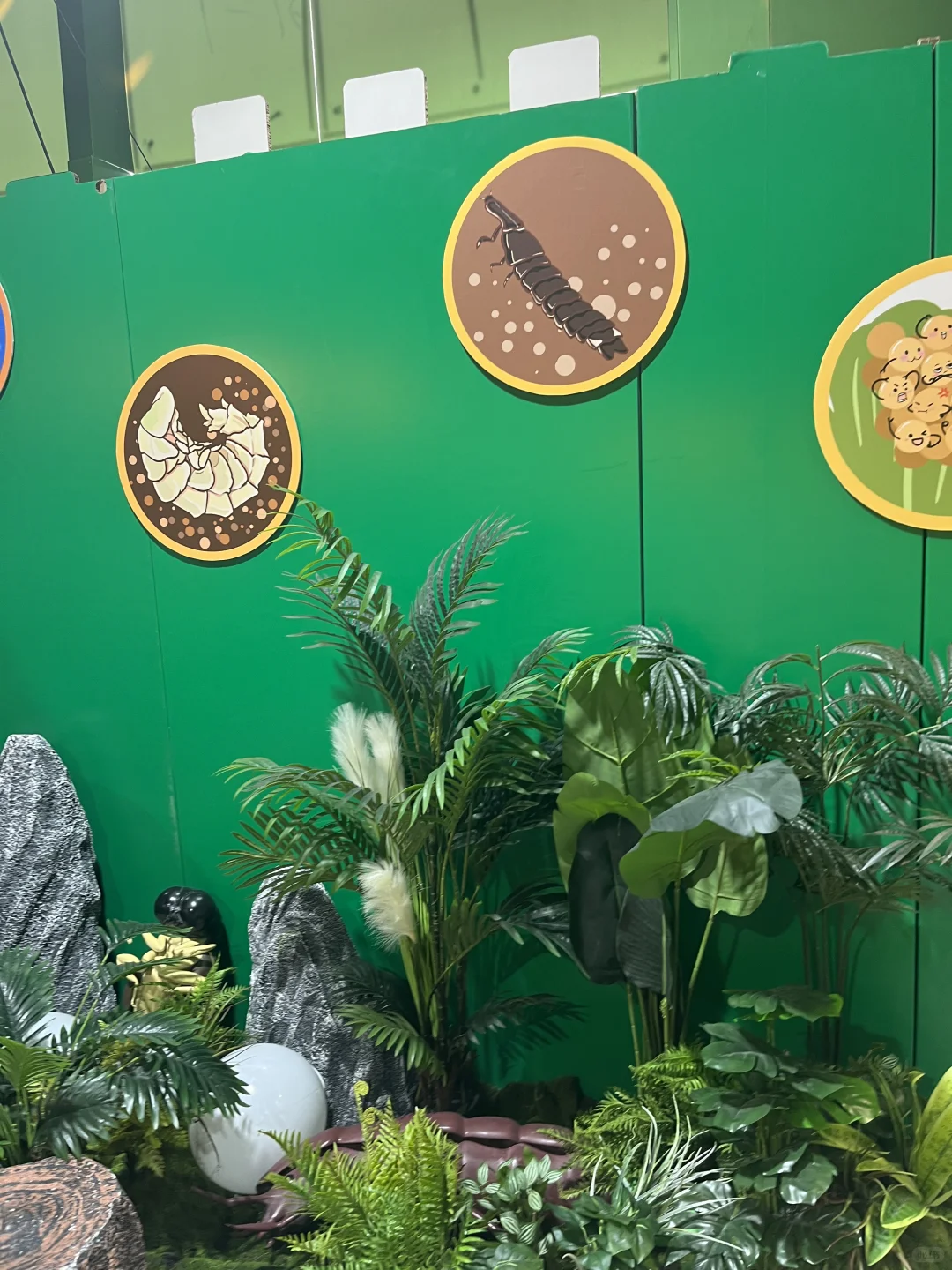 萤火虫专题展览，小朋友很开心