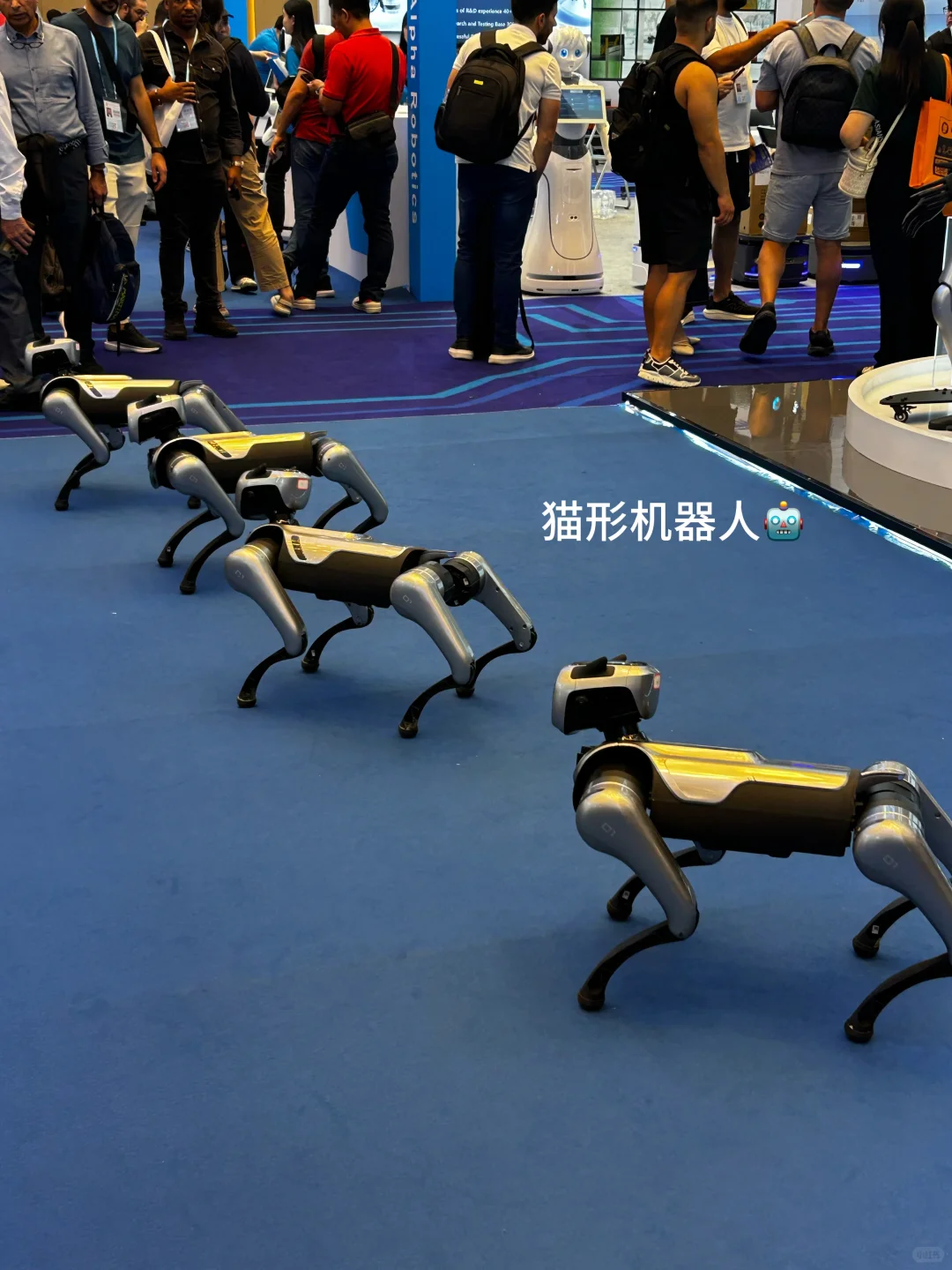 广交会科技展?｜见证祖国科技越来越强