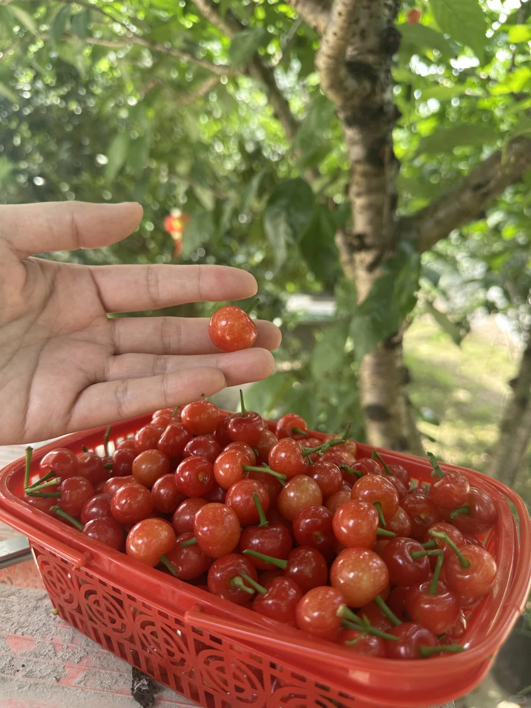 做团购达人起码吃喝玩乐不用愁了