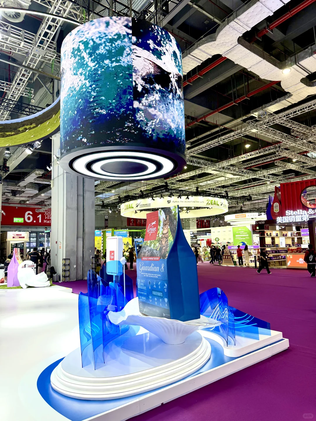 它博会宠物展台设计~原野猎食渴望