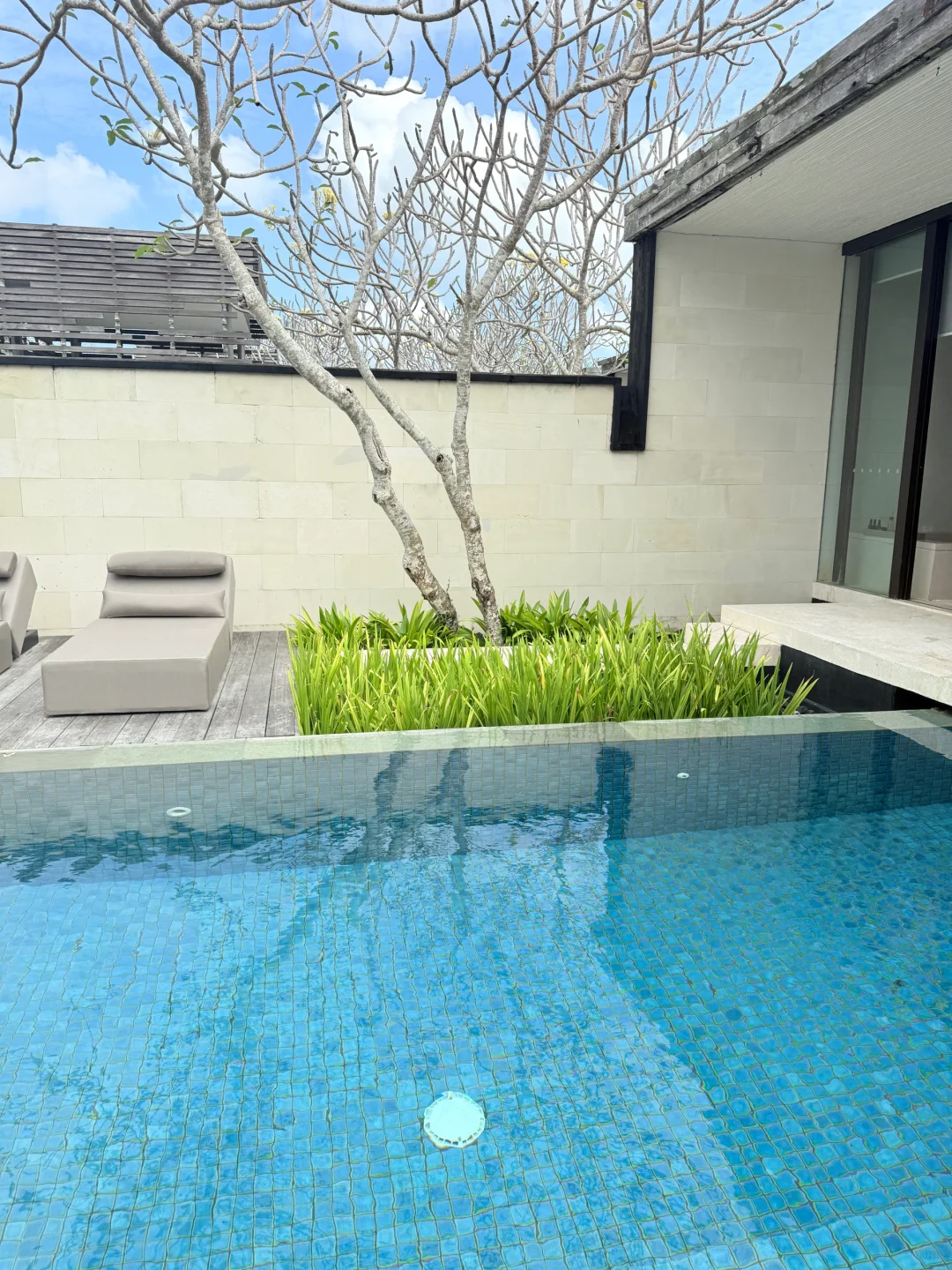 女孩子就要大大方方的性感｜穿衣自由