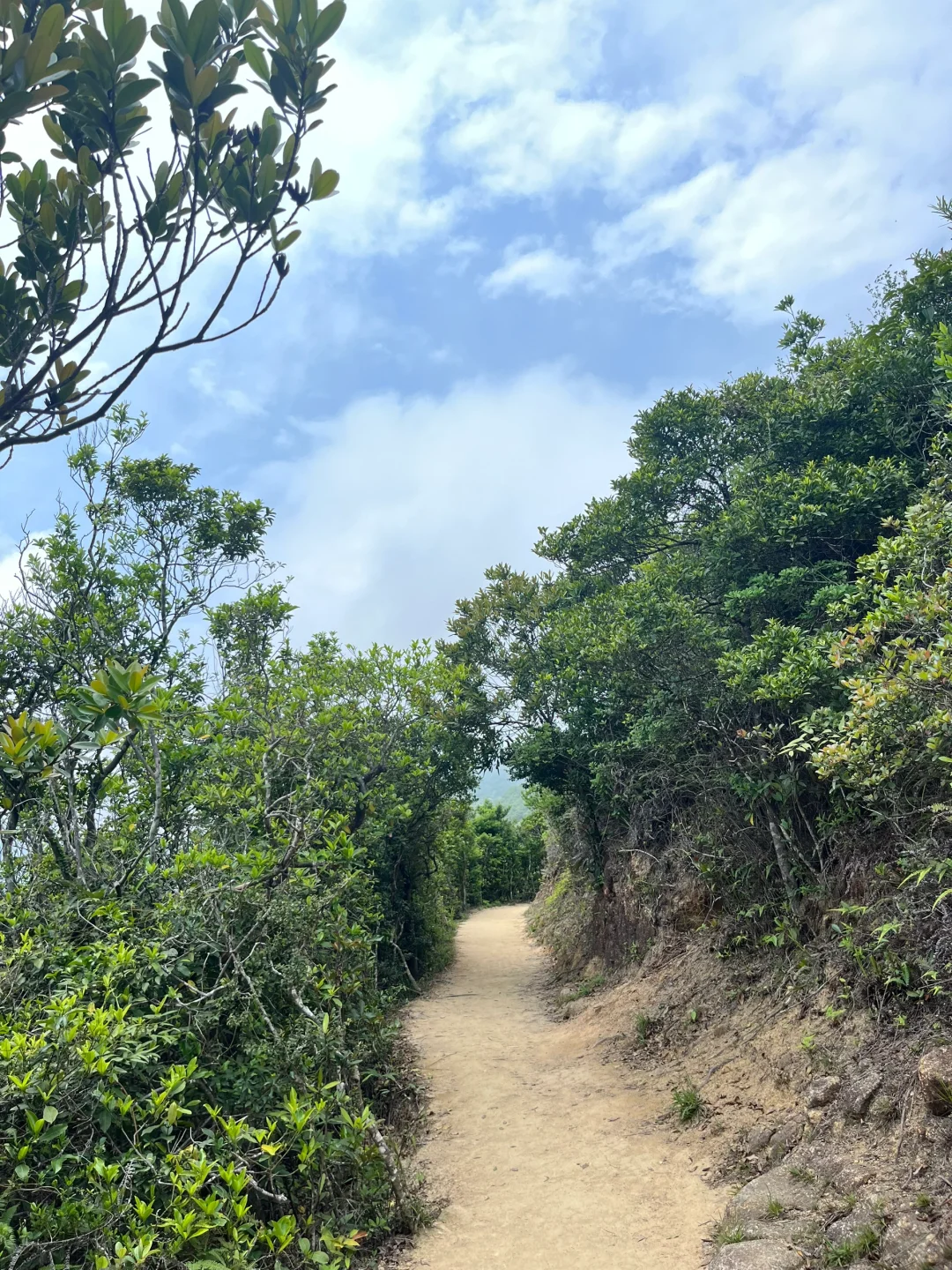 在香港穿吊带徒步，get了穿衣自由的爽感