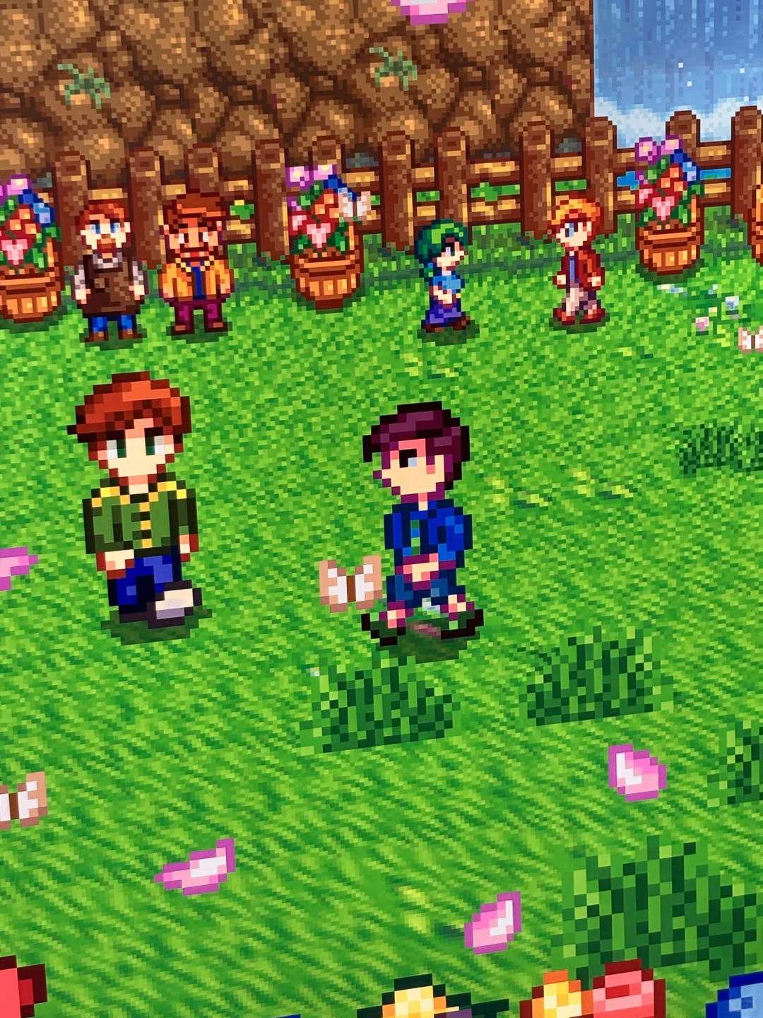 星露谷展览会～