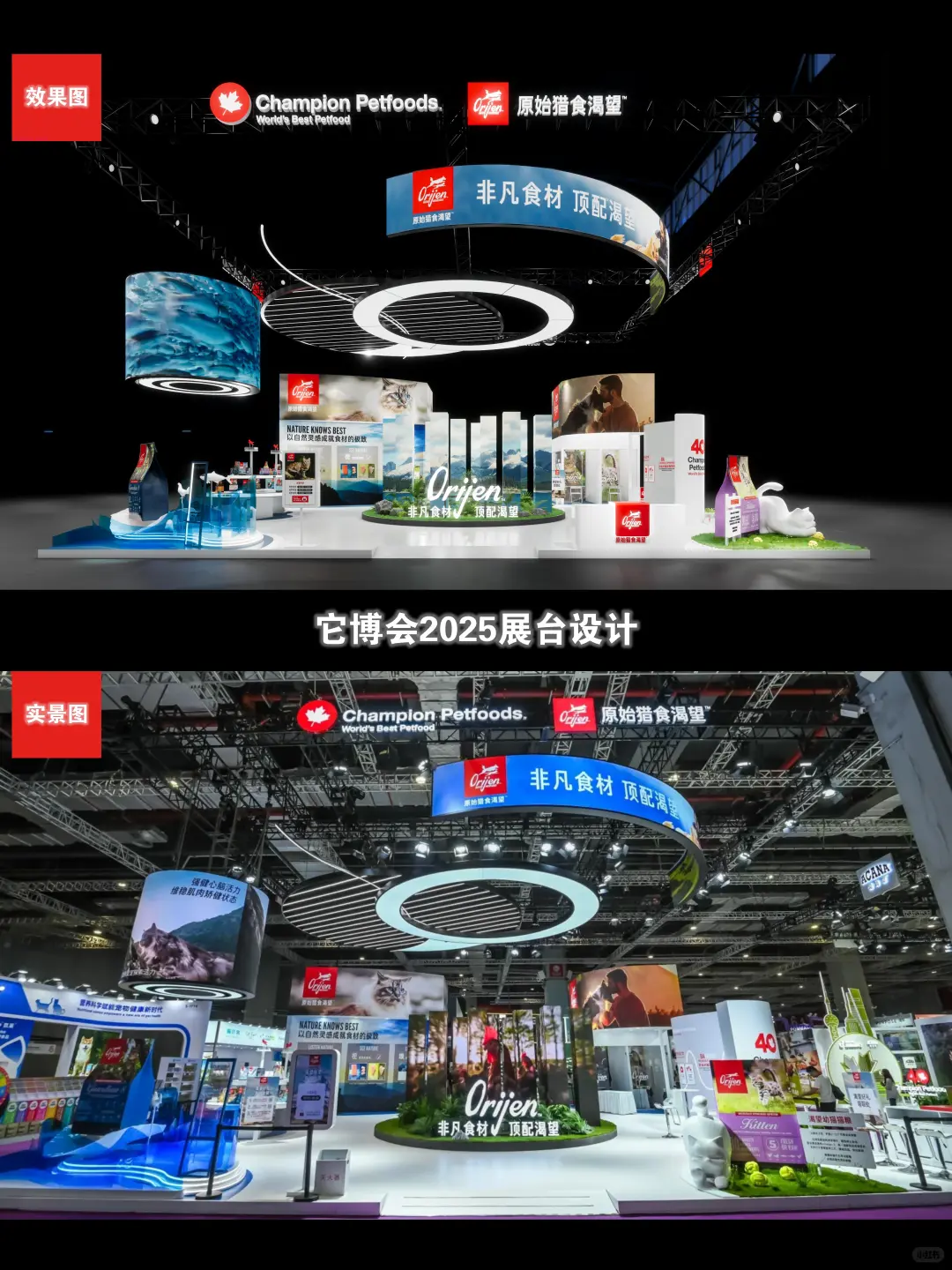 它博会宠物展台设计~原野猎食渴望