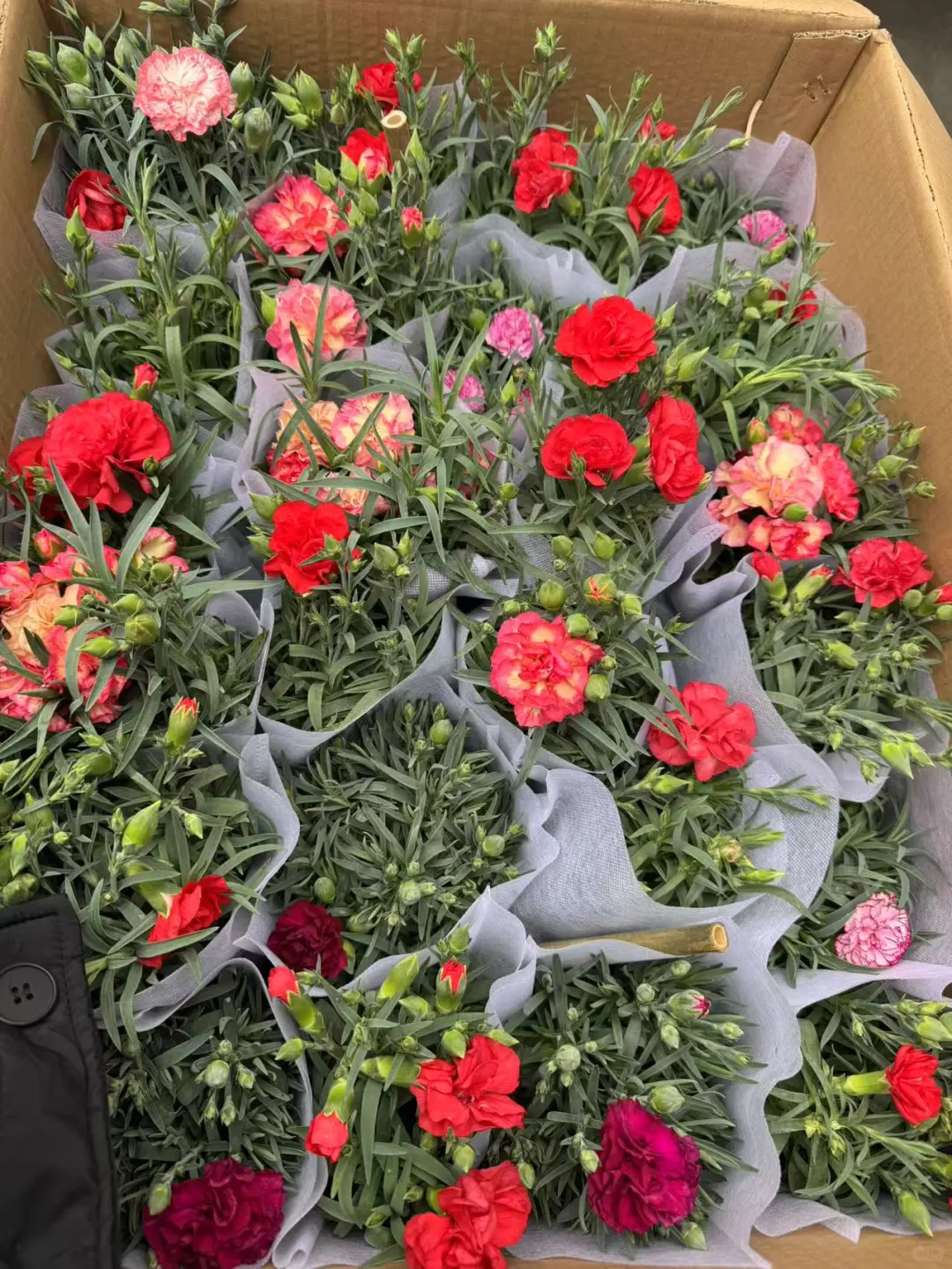 社区团购+便利店，普通人如何一天挣600花