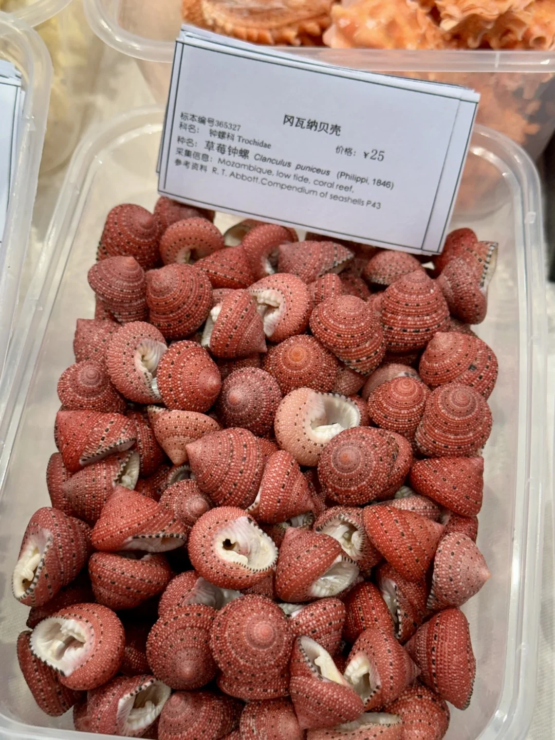 济南人来见世面了。。。。。。好好逛啊！！！！