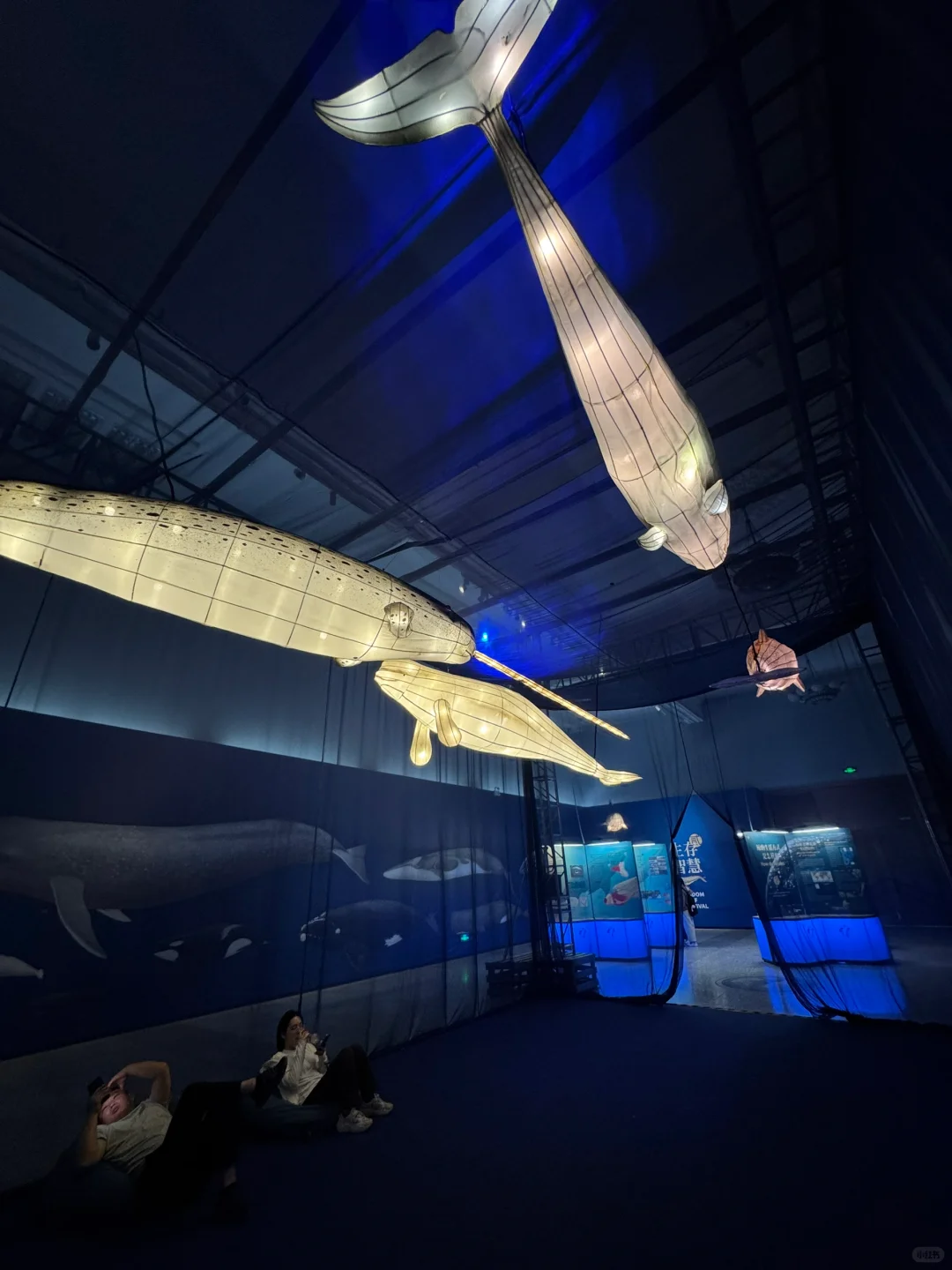 石家庄！新展！海底世界！趁没人赶紧来