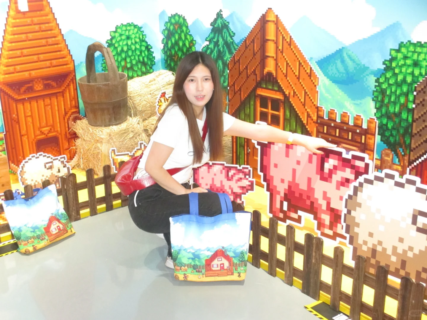 老乡！是上海星露谷展览会！