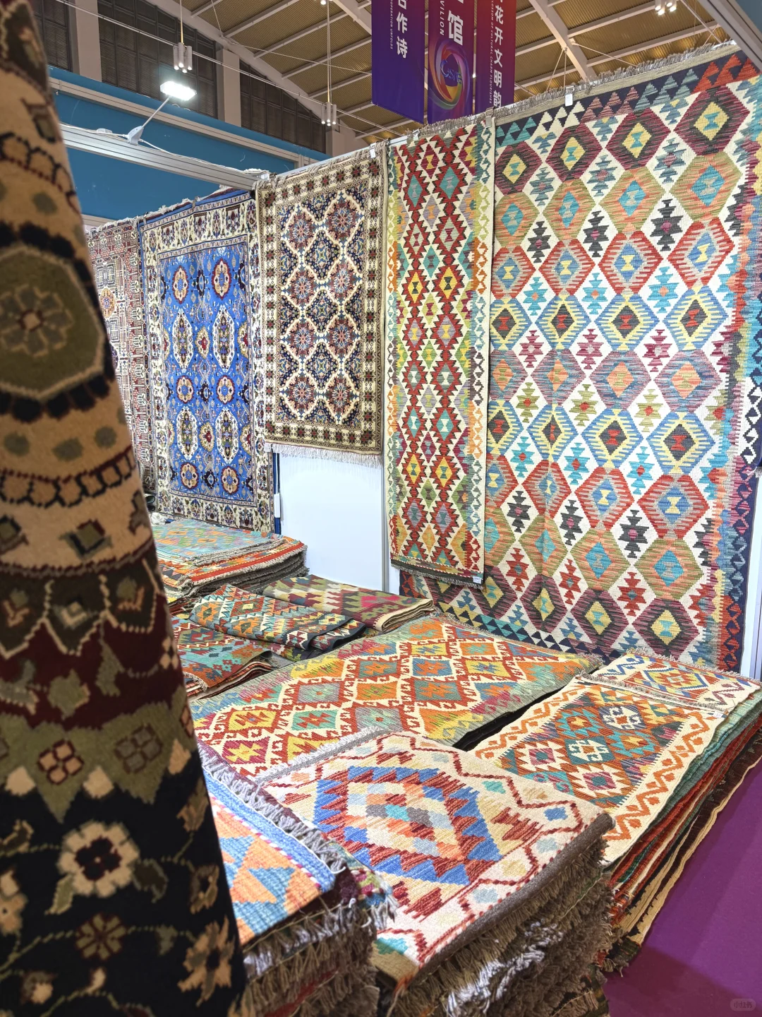 下雨也要去的南博会/免费门票速领