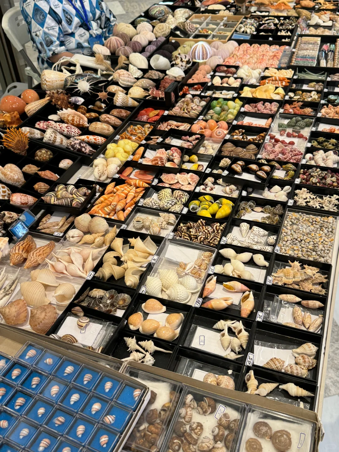 济南人来见世面了。。。。。。好好逛啊！！！！